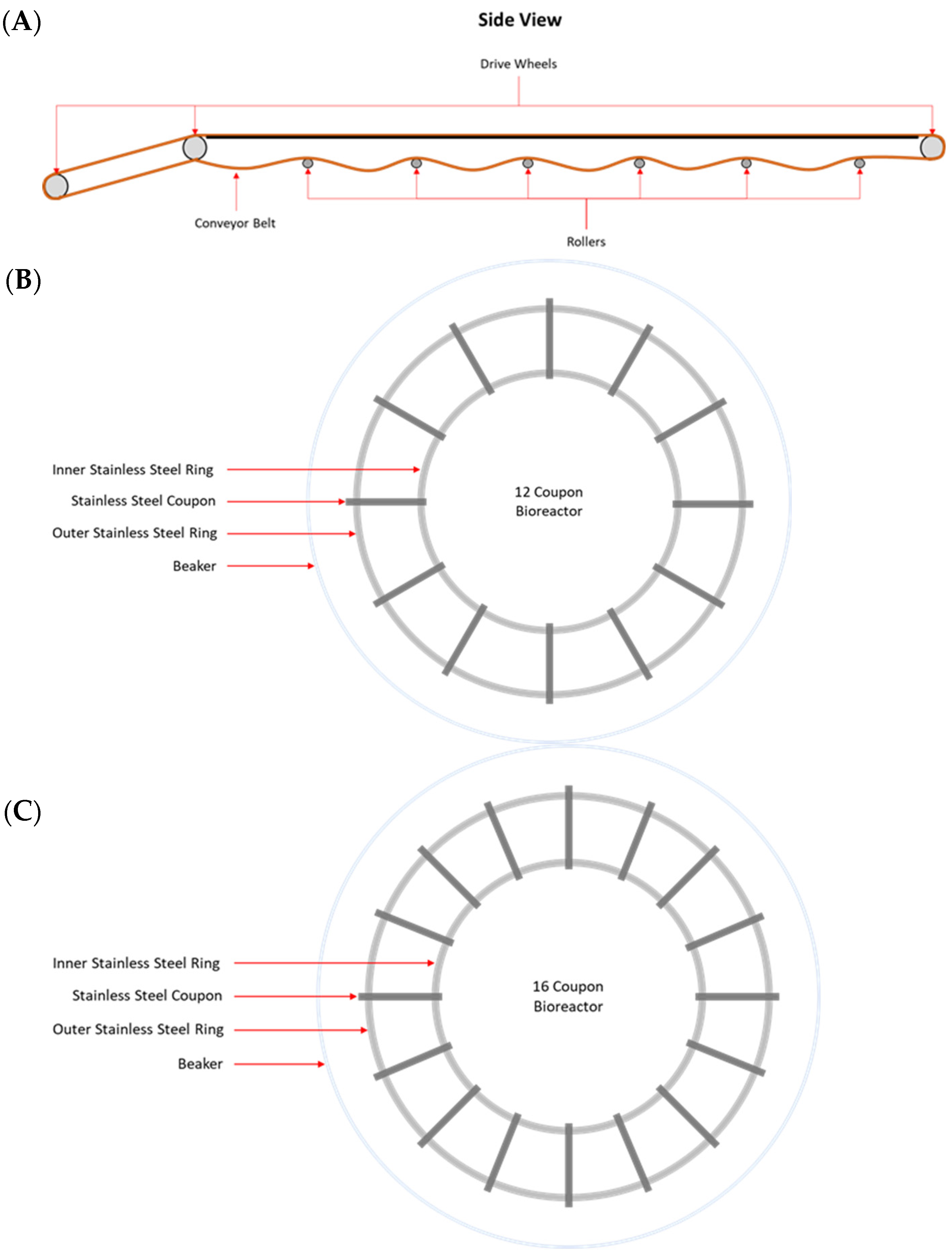 Microorganisms 11 00421 g001
