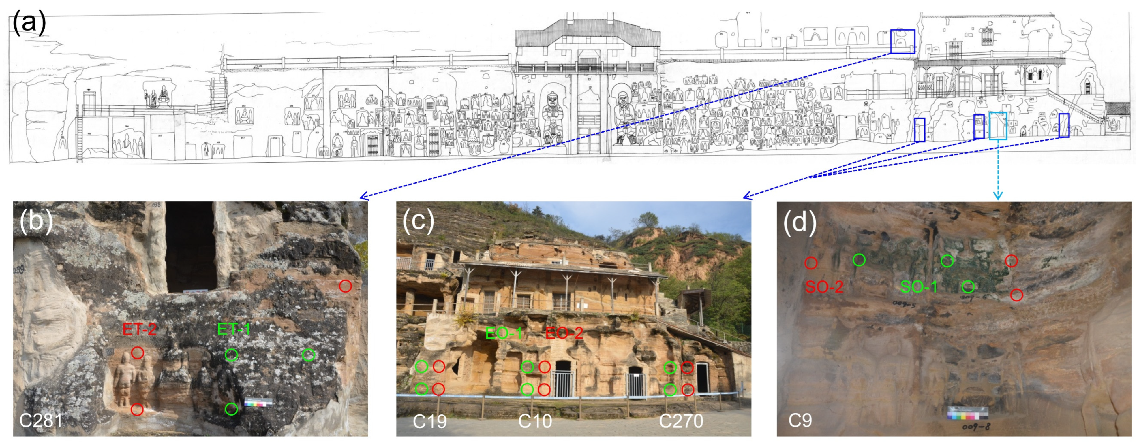 Microorganisms 11 00429 g001