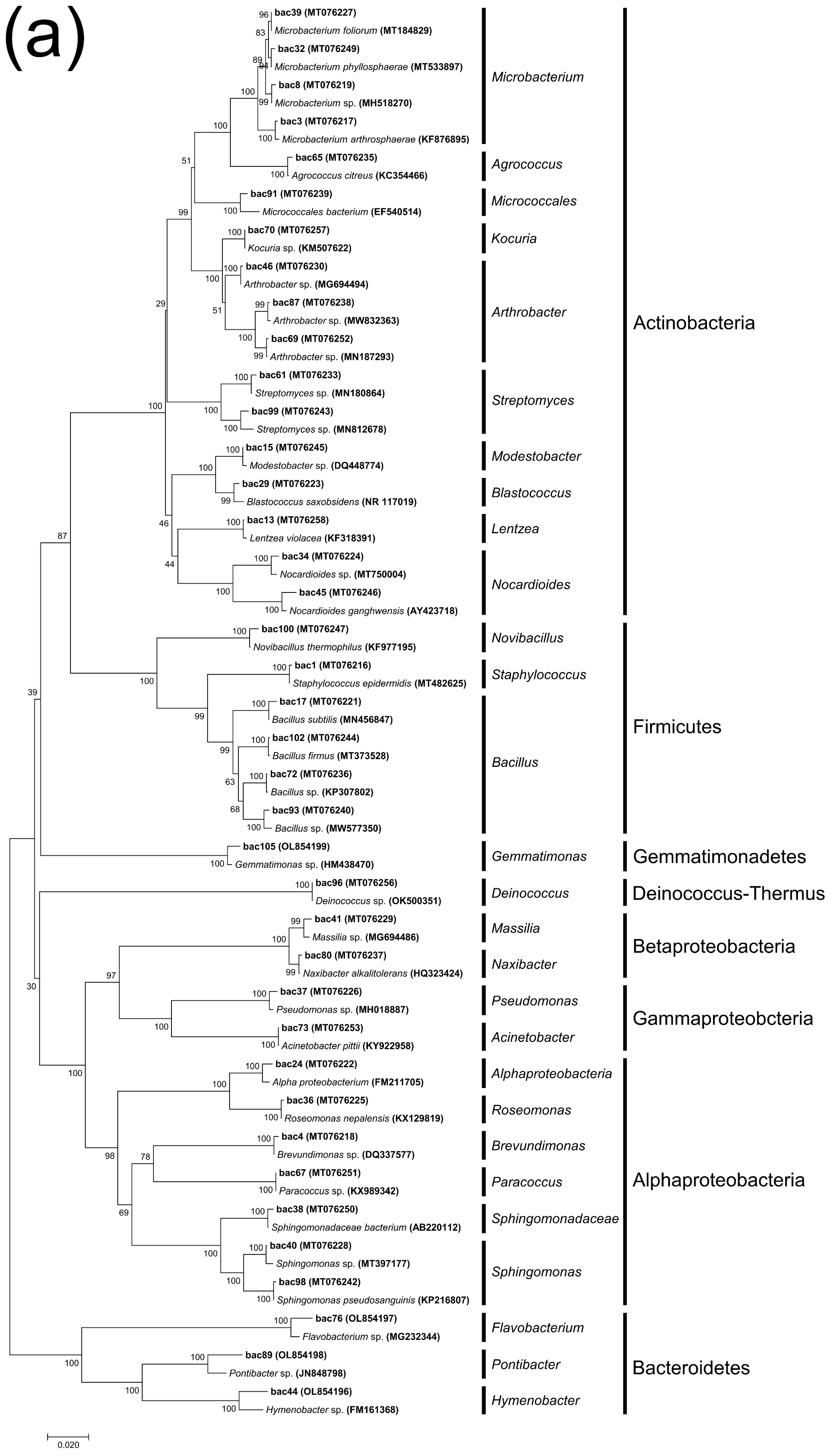 Microorganisms 11 00429 g004a
