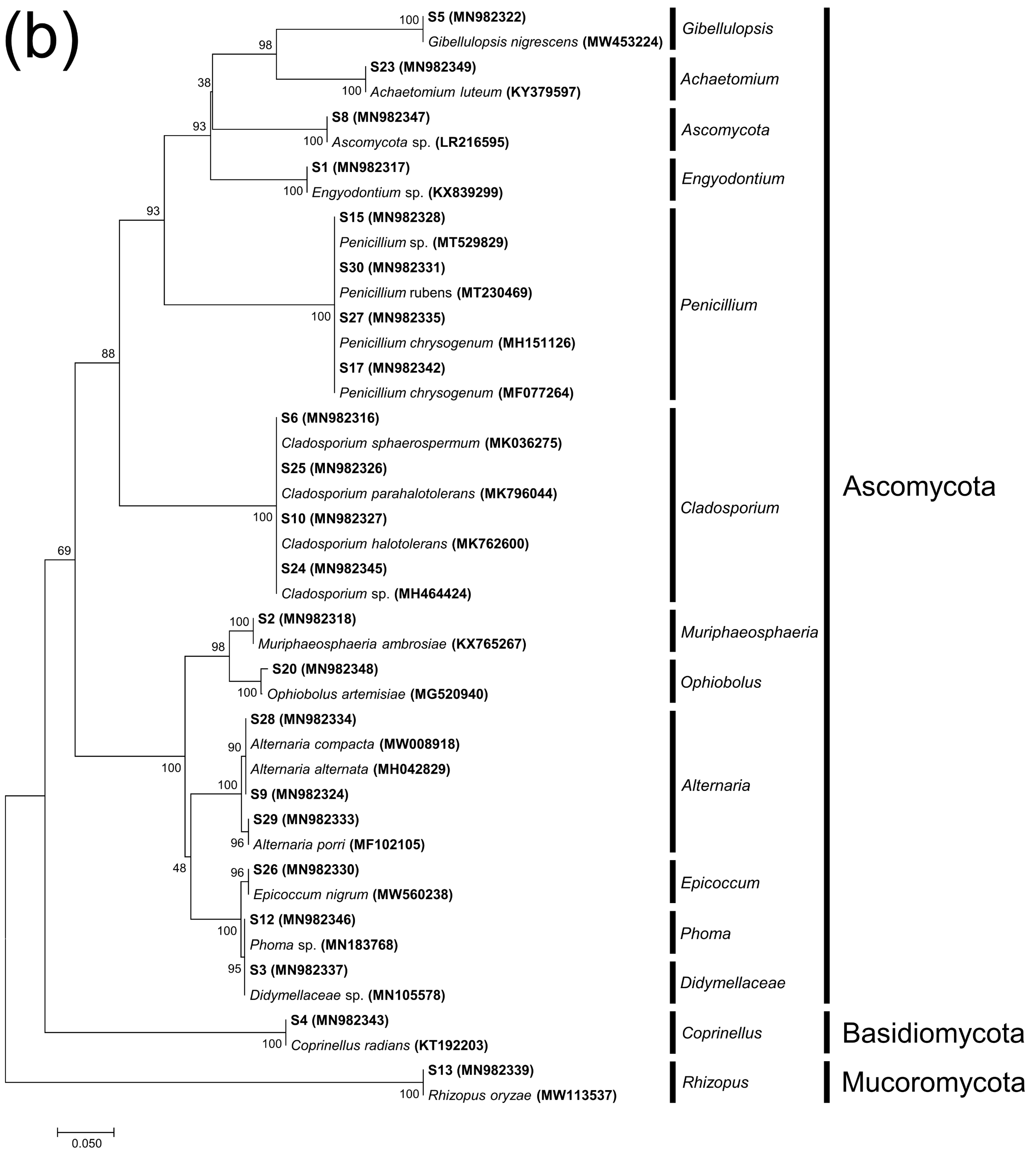 Microorganisms 11 00429 g004b