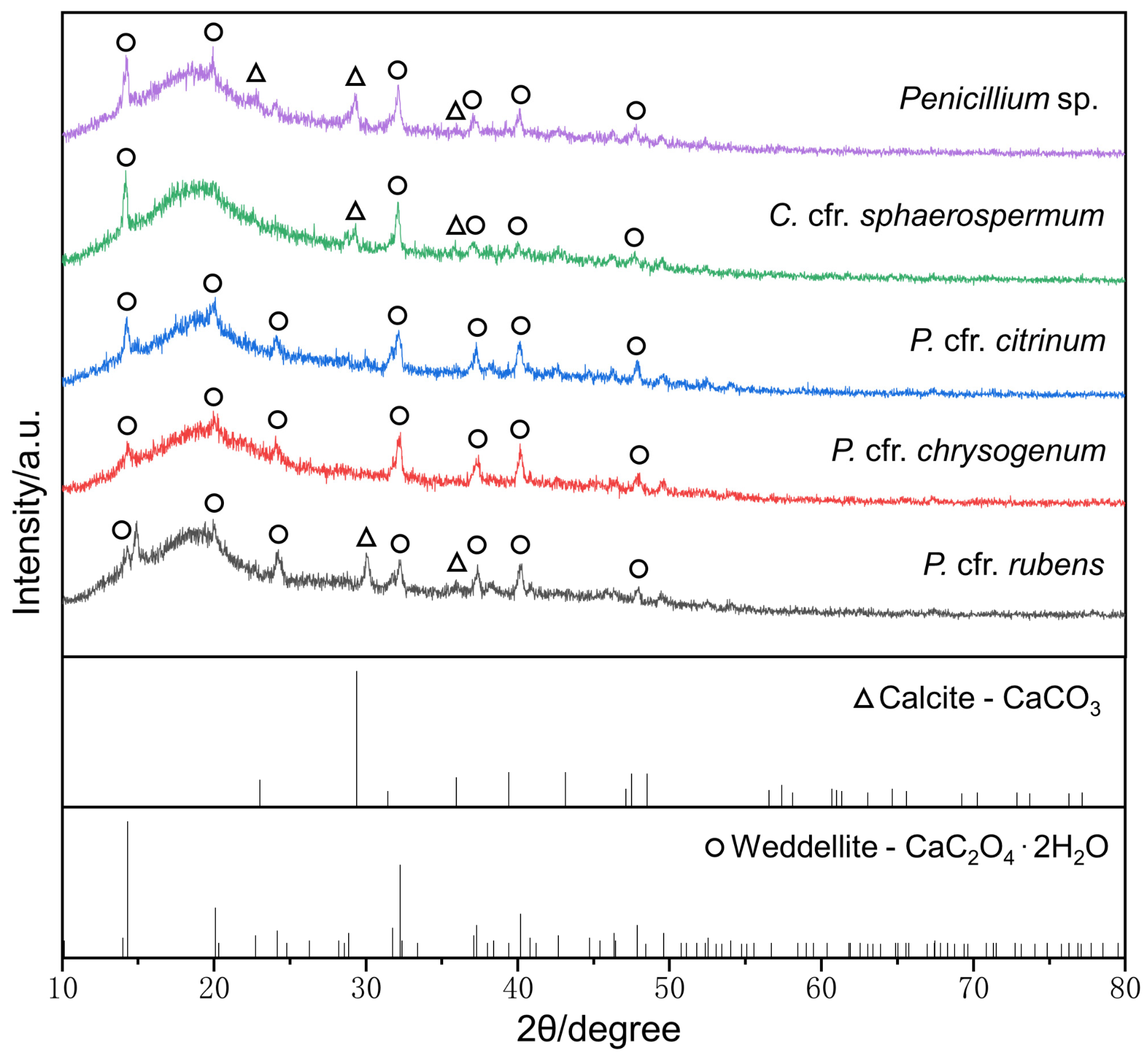 Microorganisms 11 00429 g010