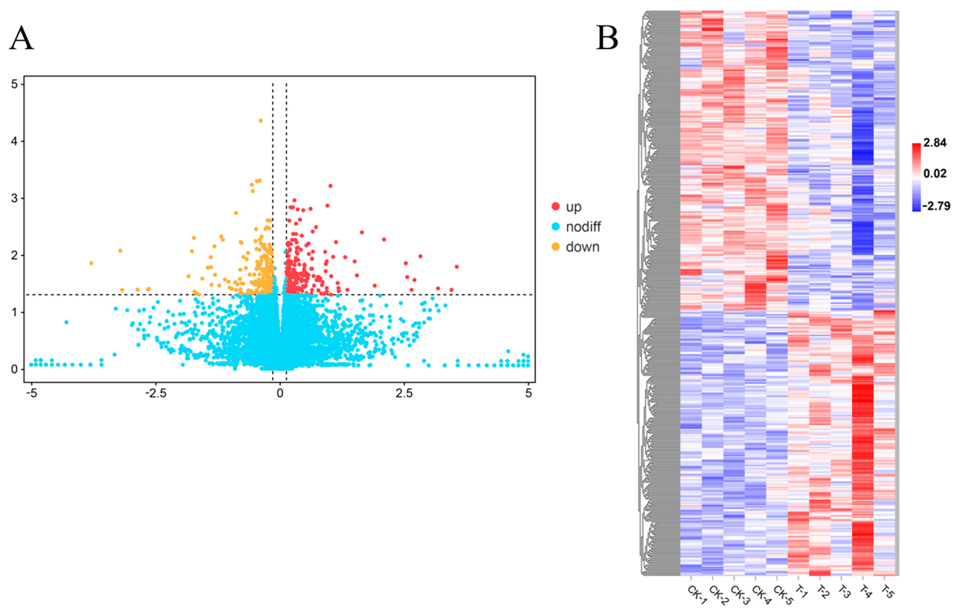 Microorganisms 11 00430 g001