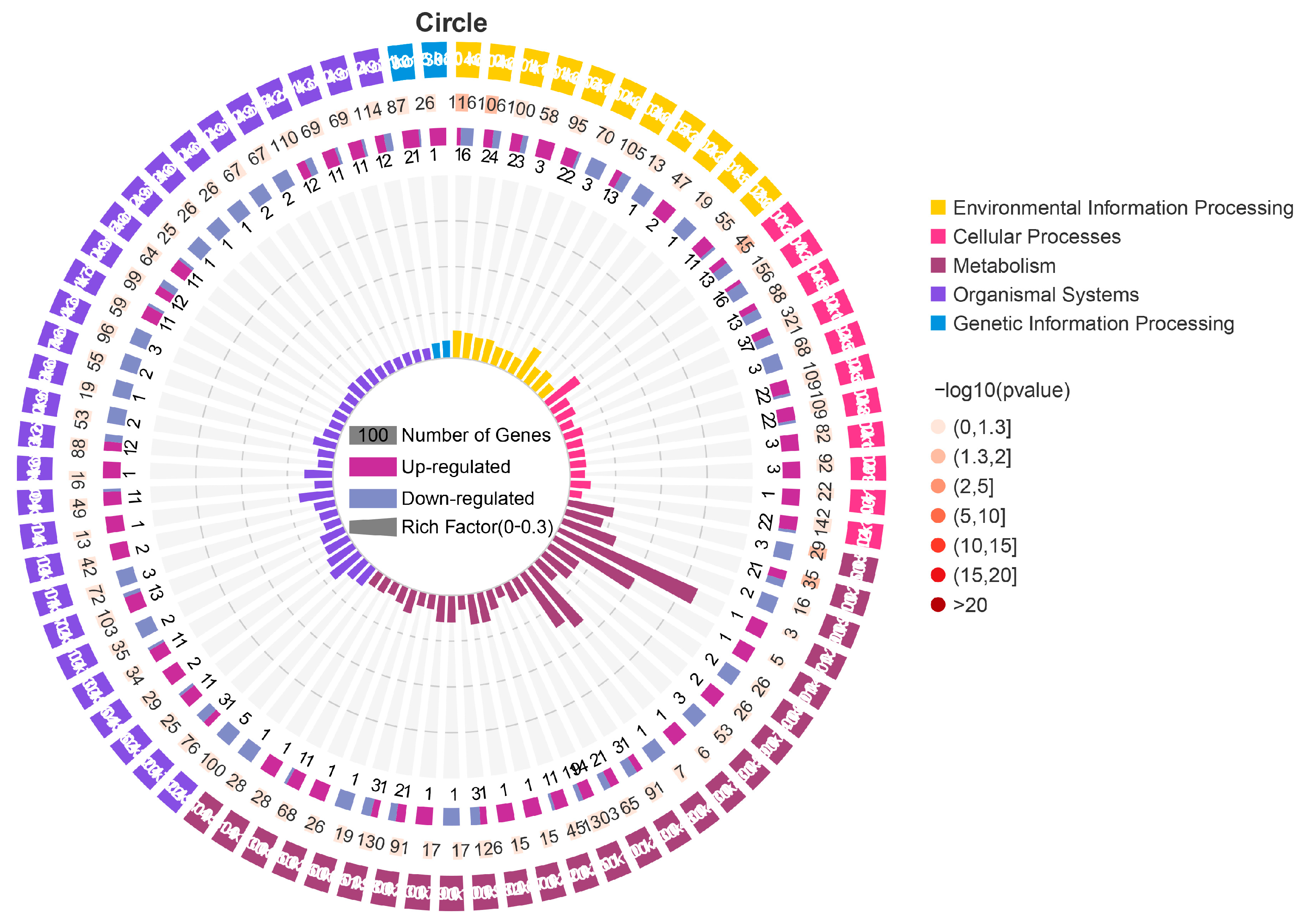 Microorganisms 11 00430 g006