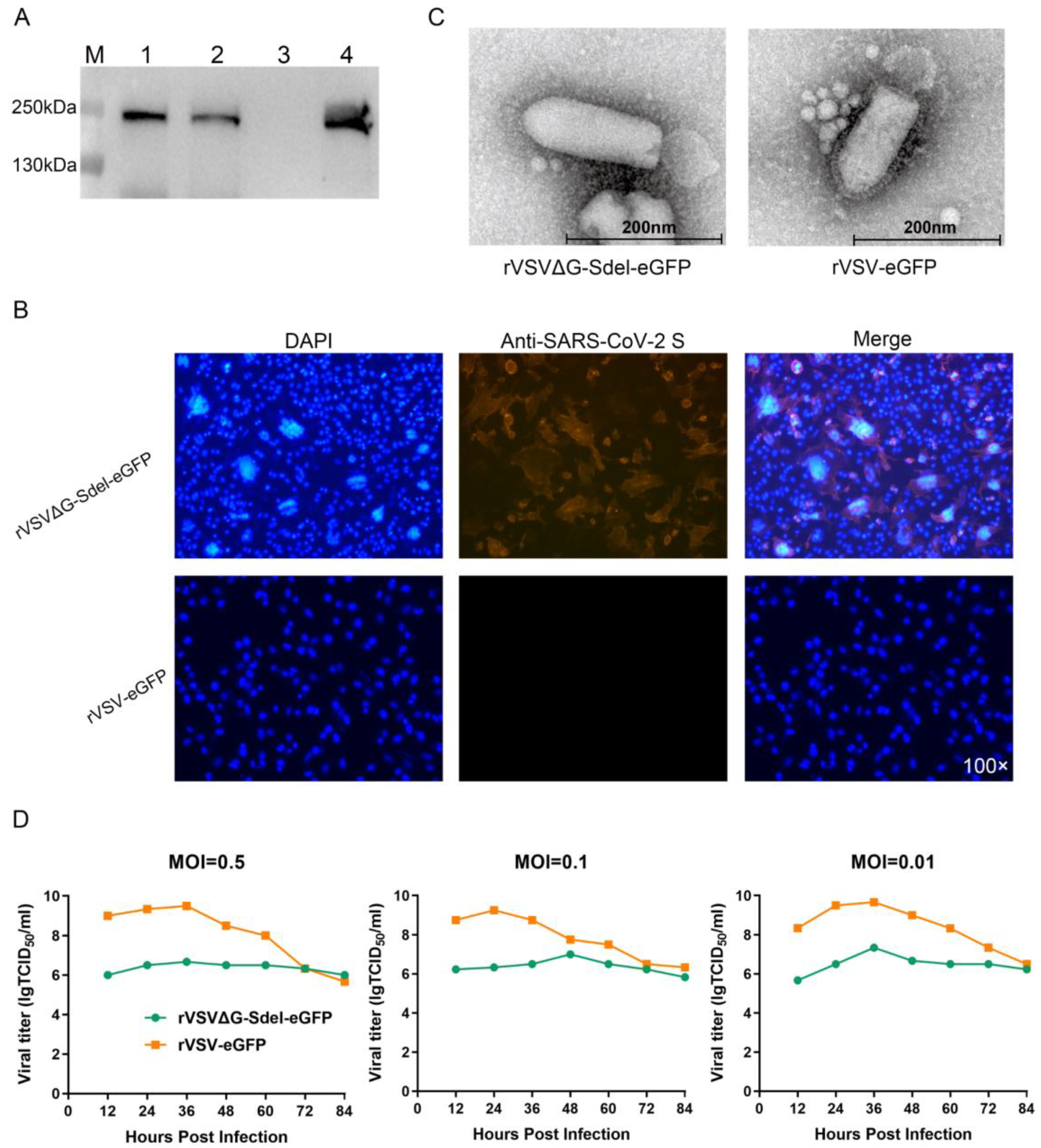 Microorganisms 11 00431 g003