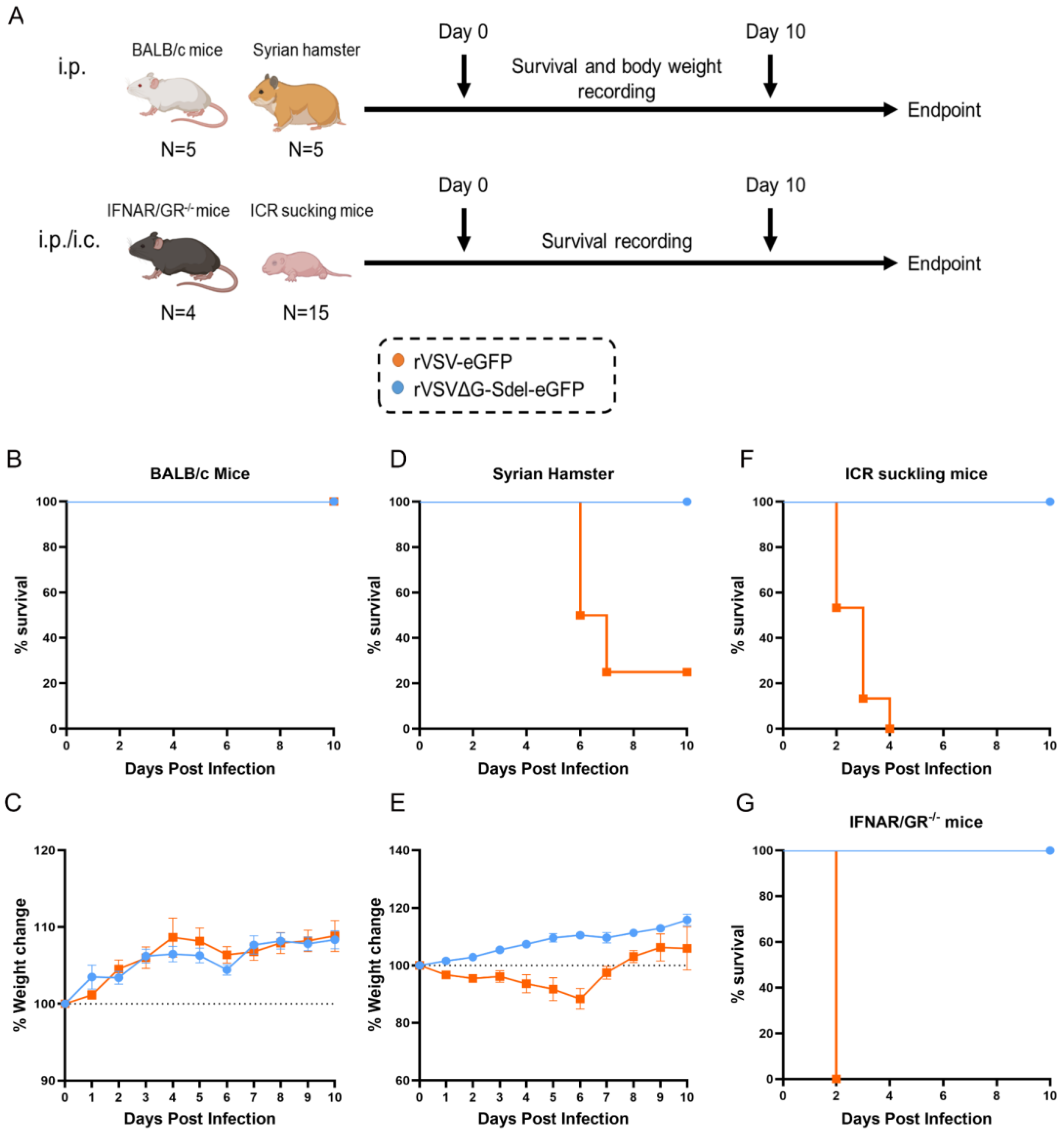 Microorganisms 11 00431 g004