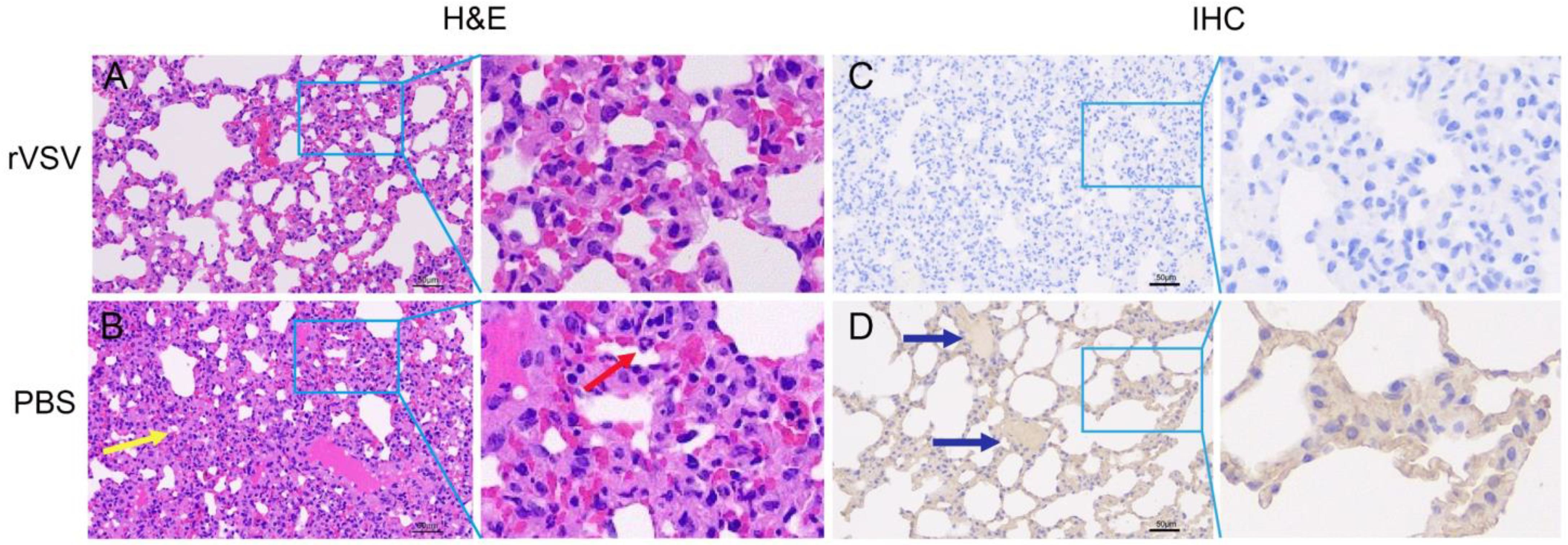Microorganisms 11 00431 g007