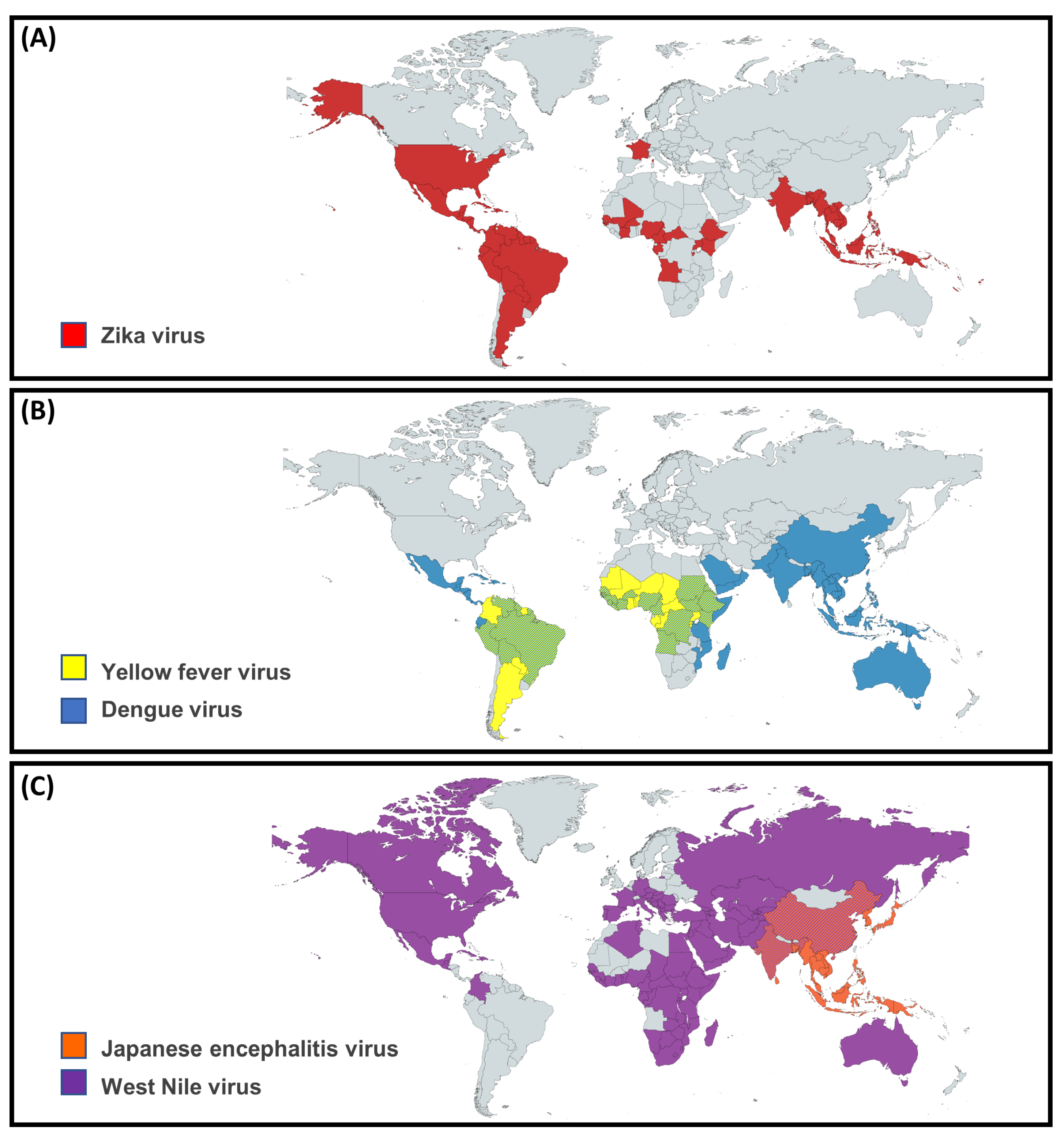 Microorganisms 11 00433 g001