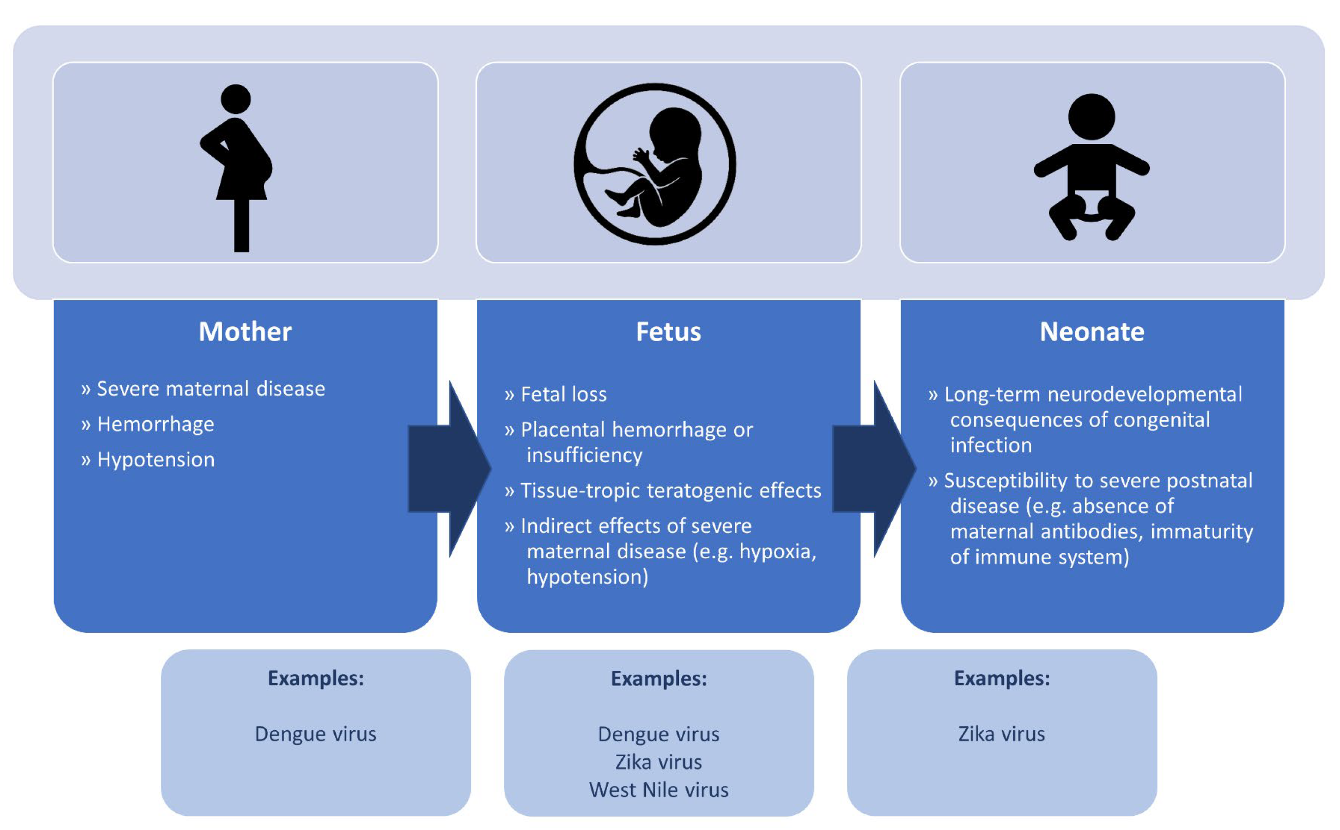 Microorganisms 11 00433 g002