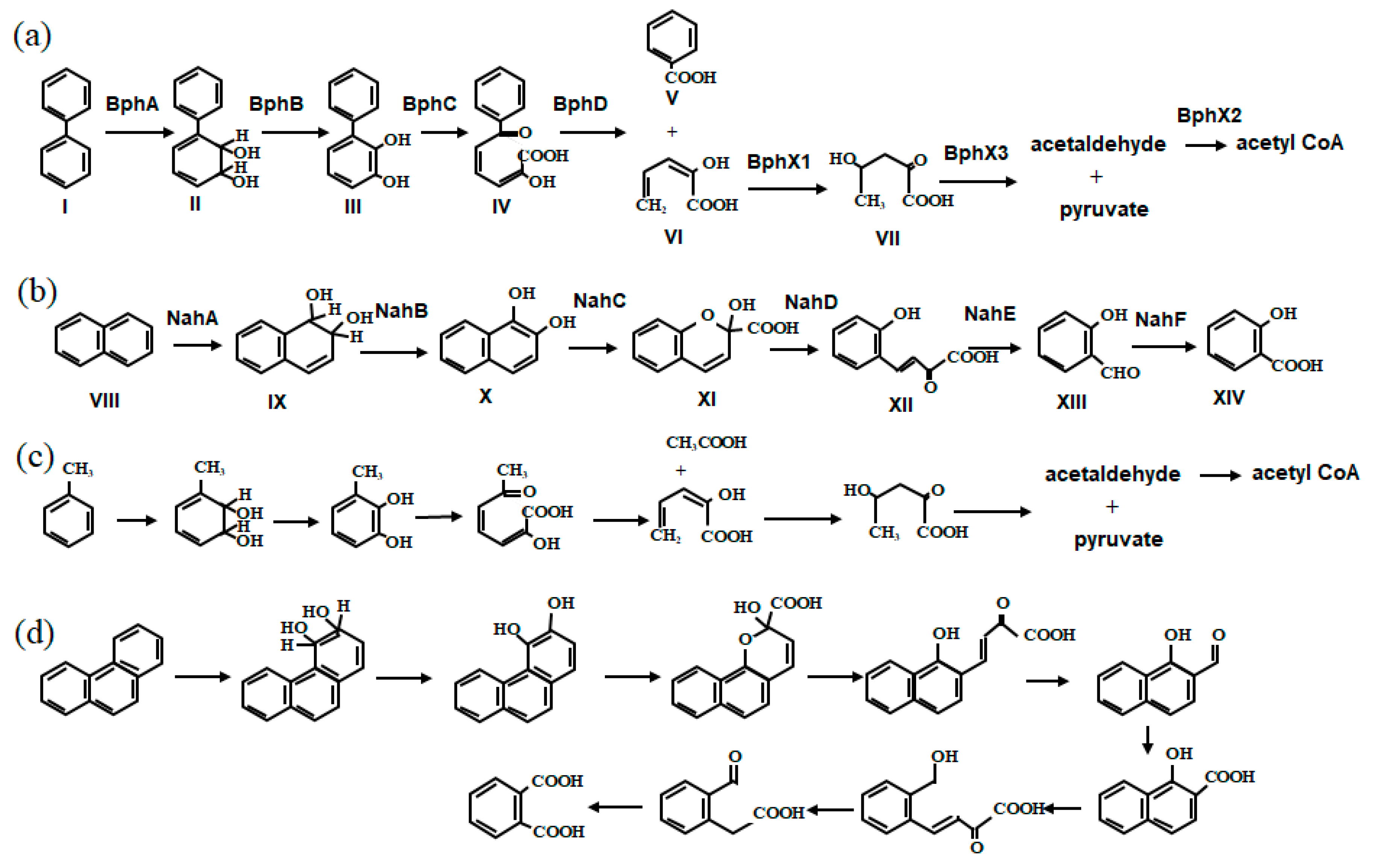 Microorganisms 11 00438 g001