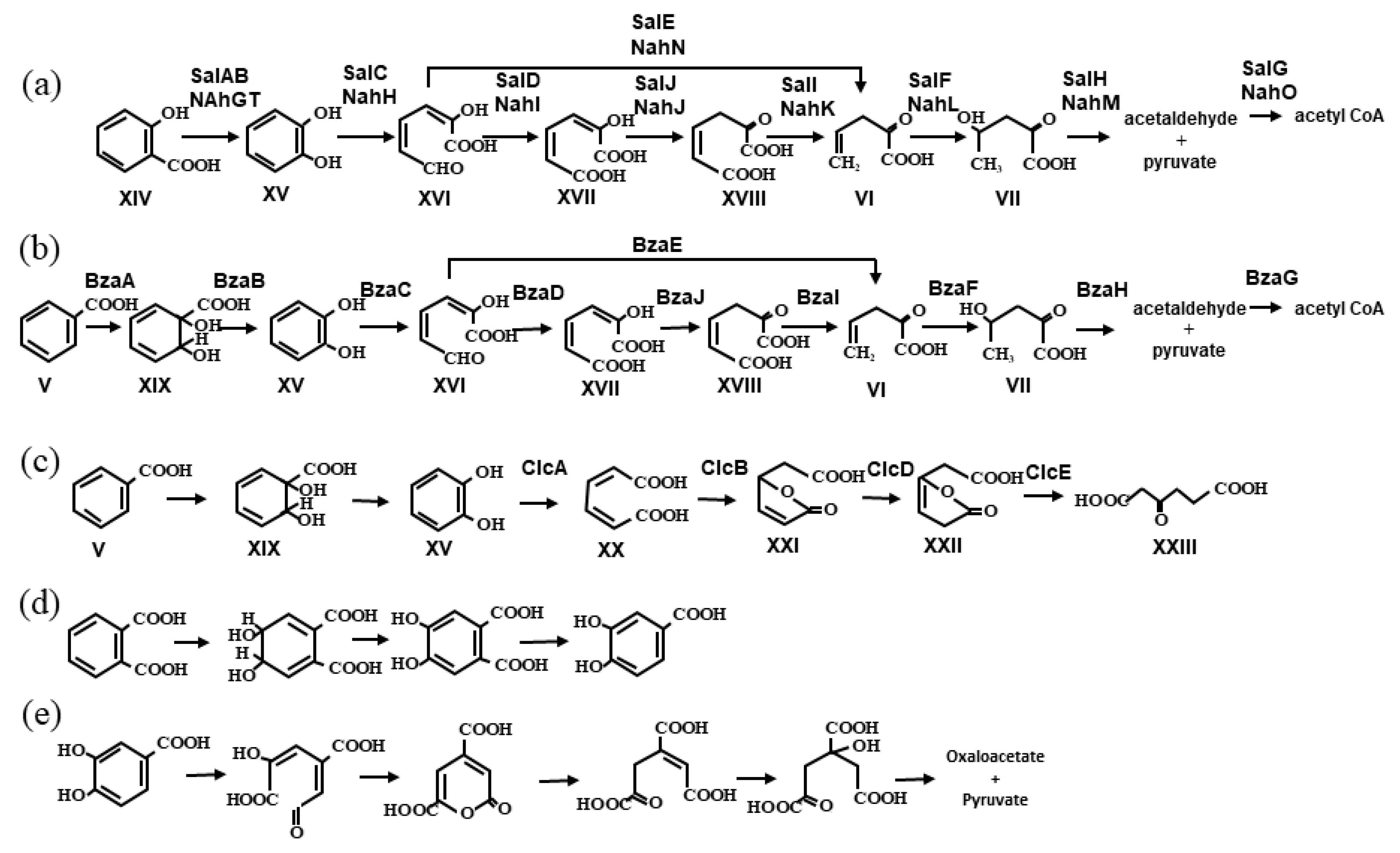 Microorganisms 11 00438 g002