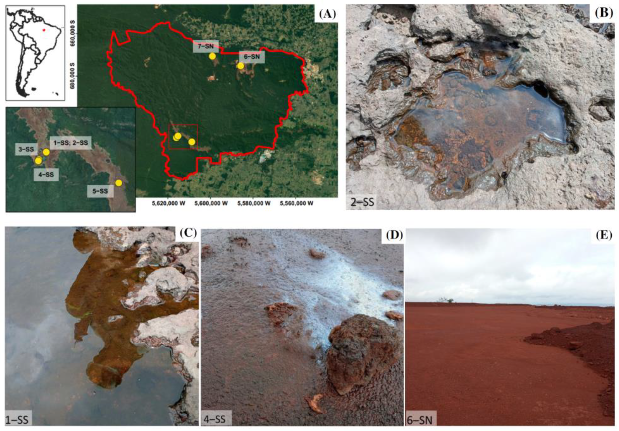 Microorganisms 11 00448 g001