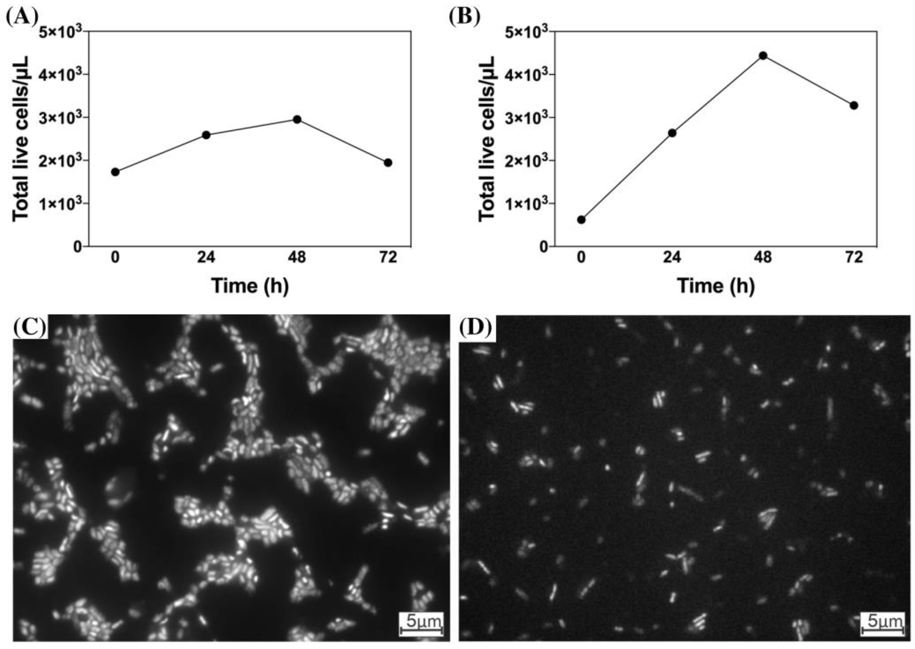 Microorganisms 11 00448 g005