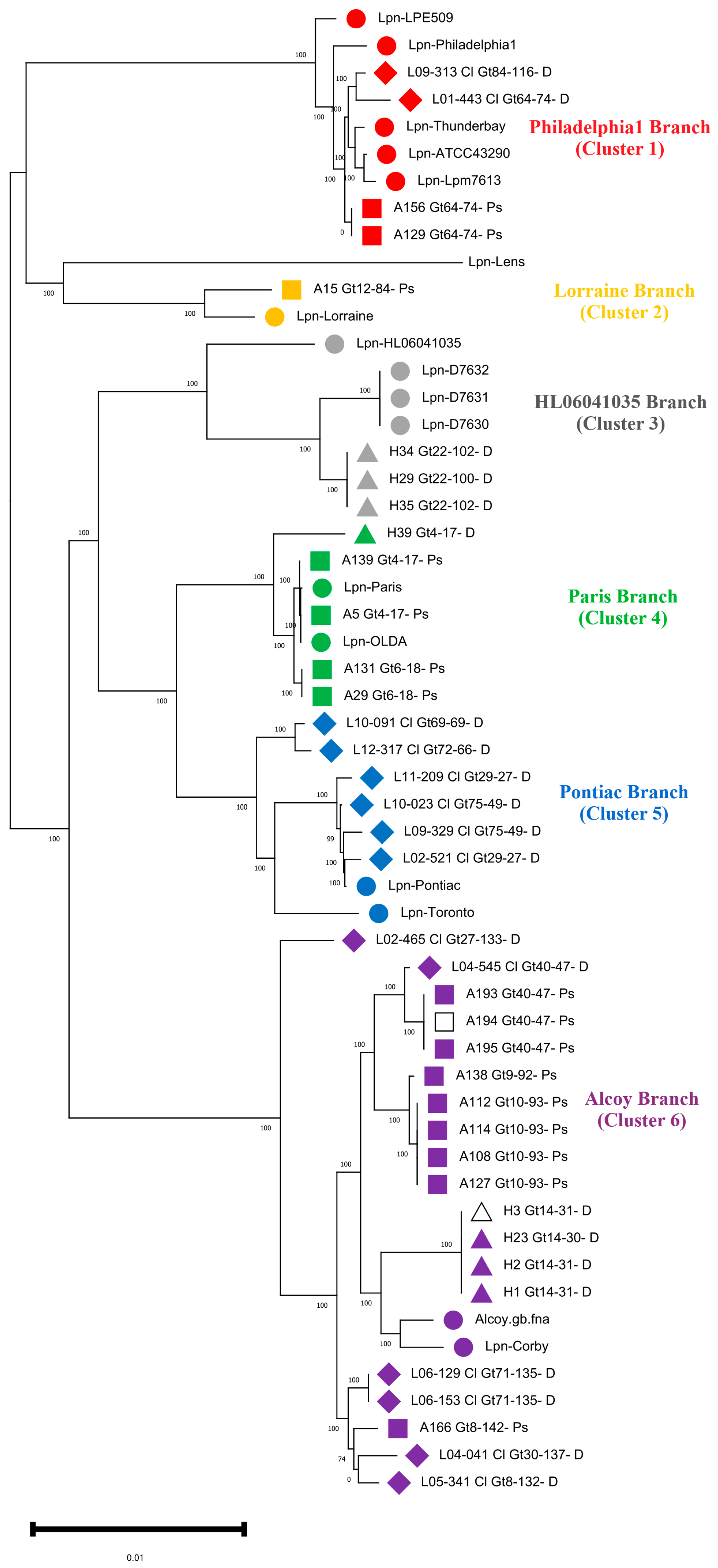 Microorganisms 11 00449 g001