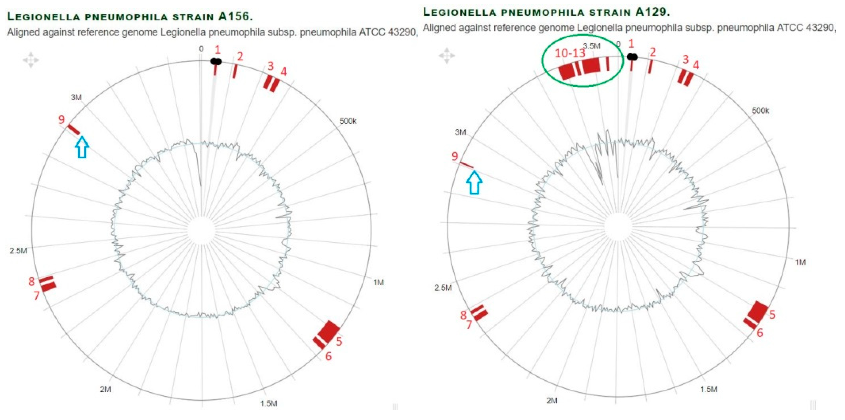 Microorganisms 11 00449 g004