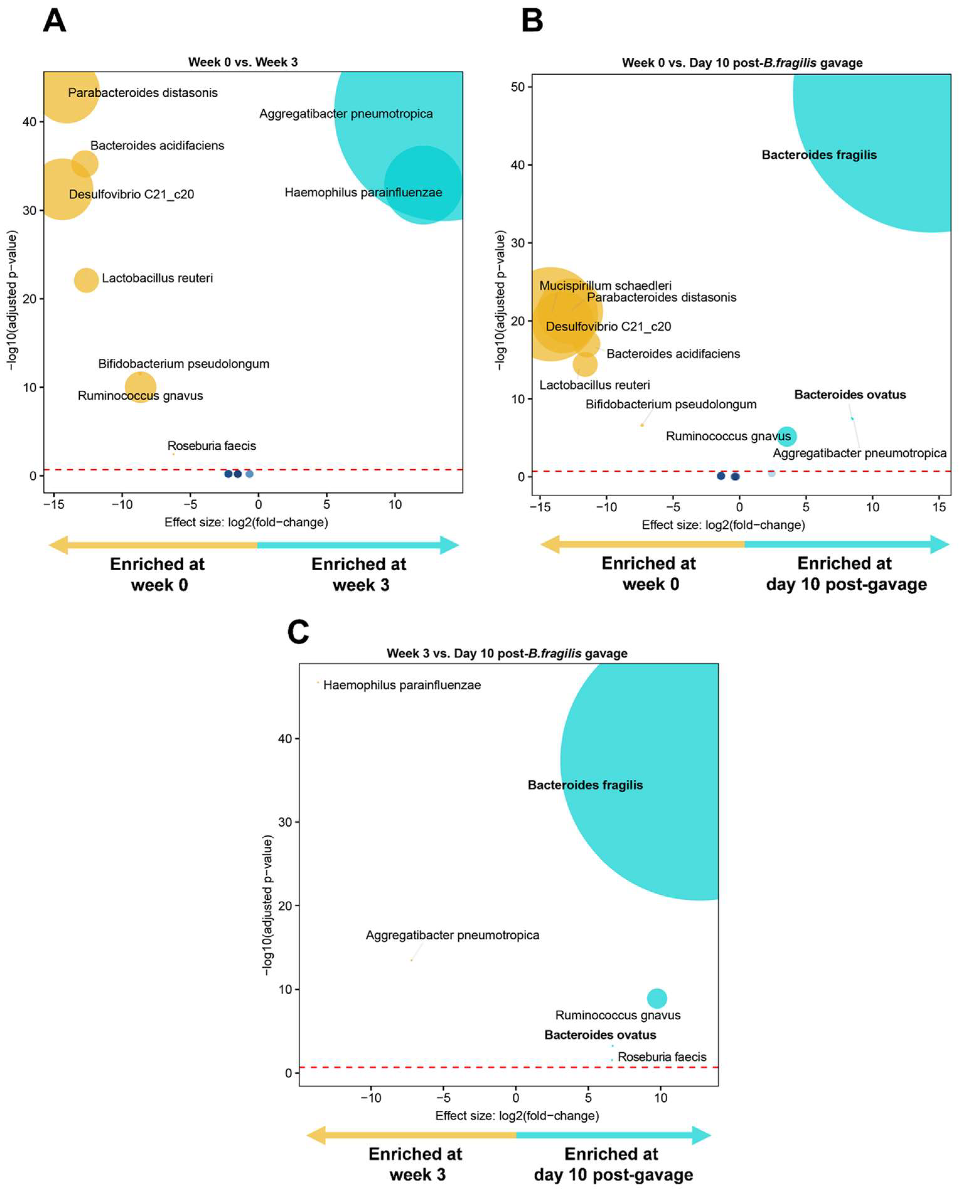 Microorganisms 11 00451 g008
