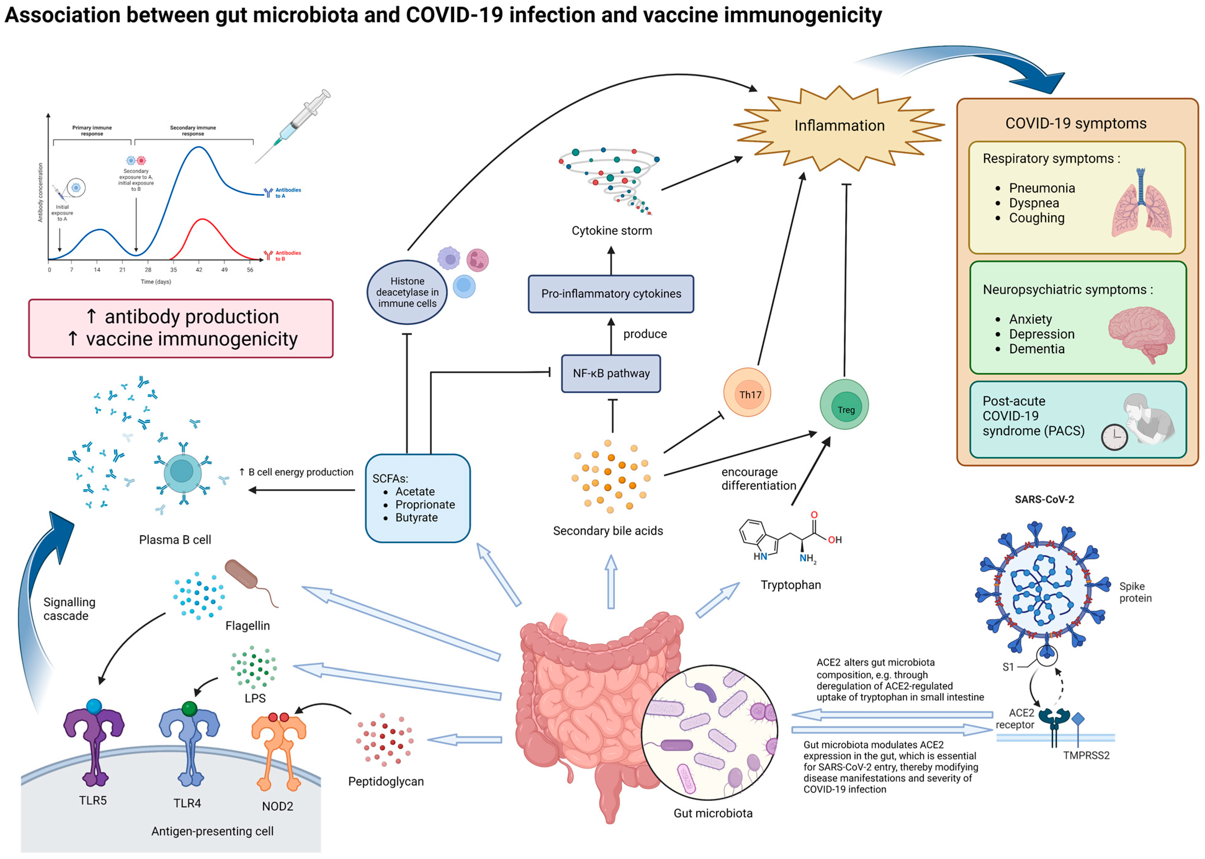Microorganisms 11 00452 g001
