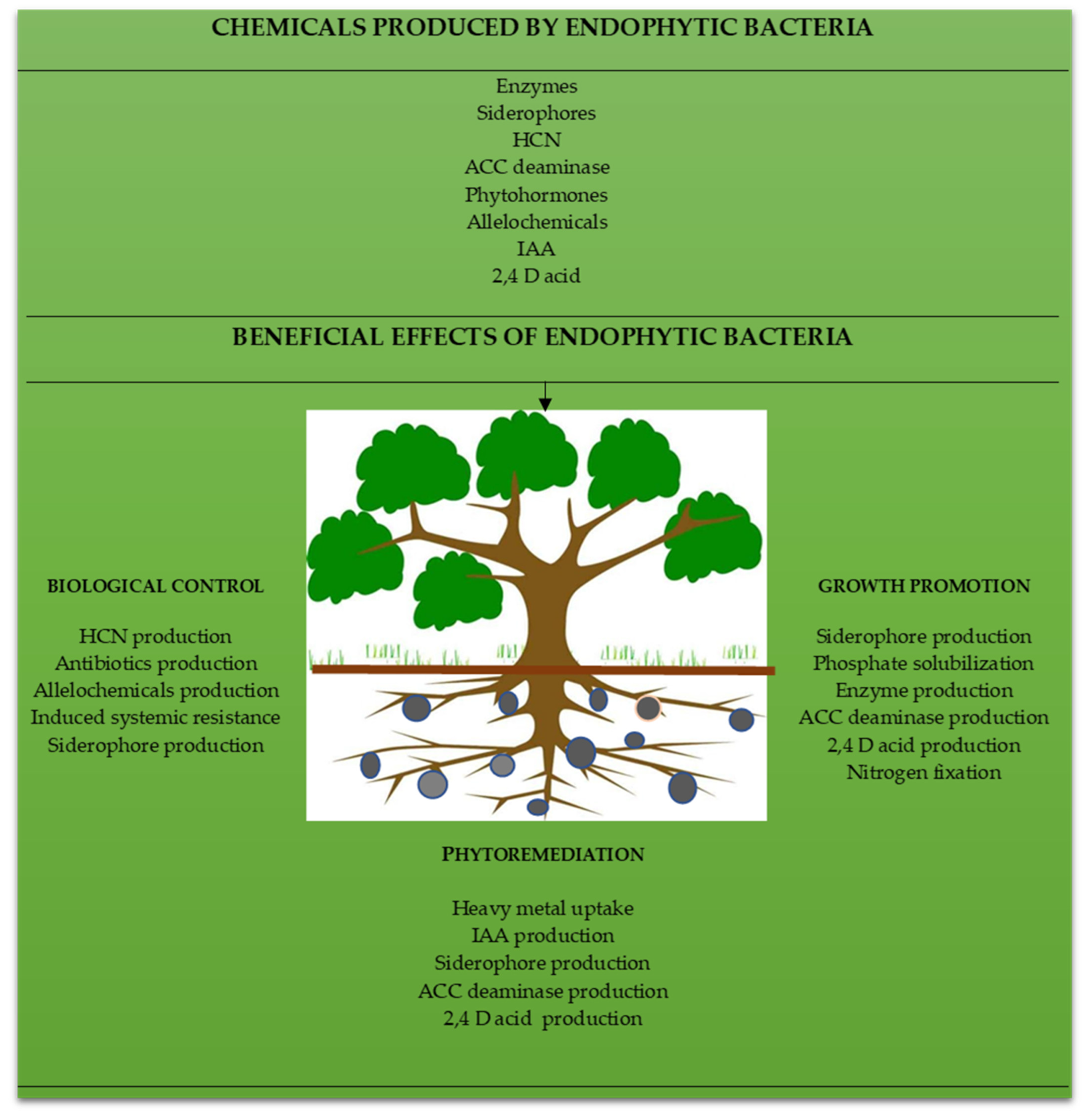 Microorganisms 11 00453 g001