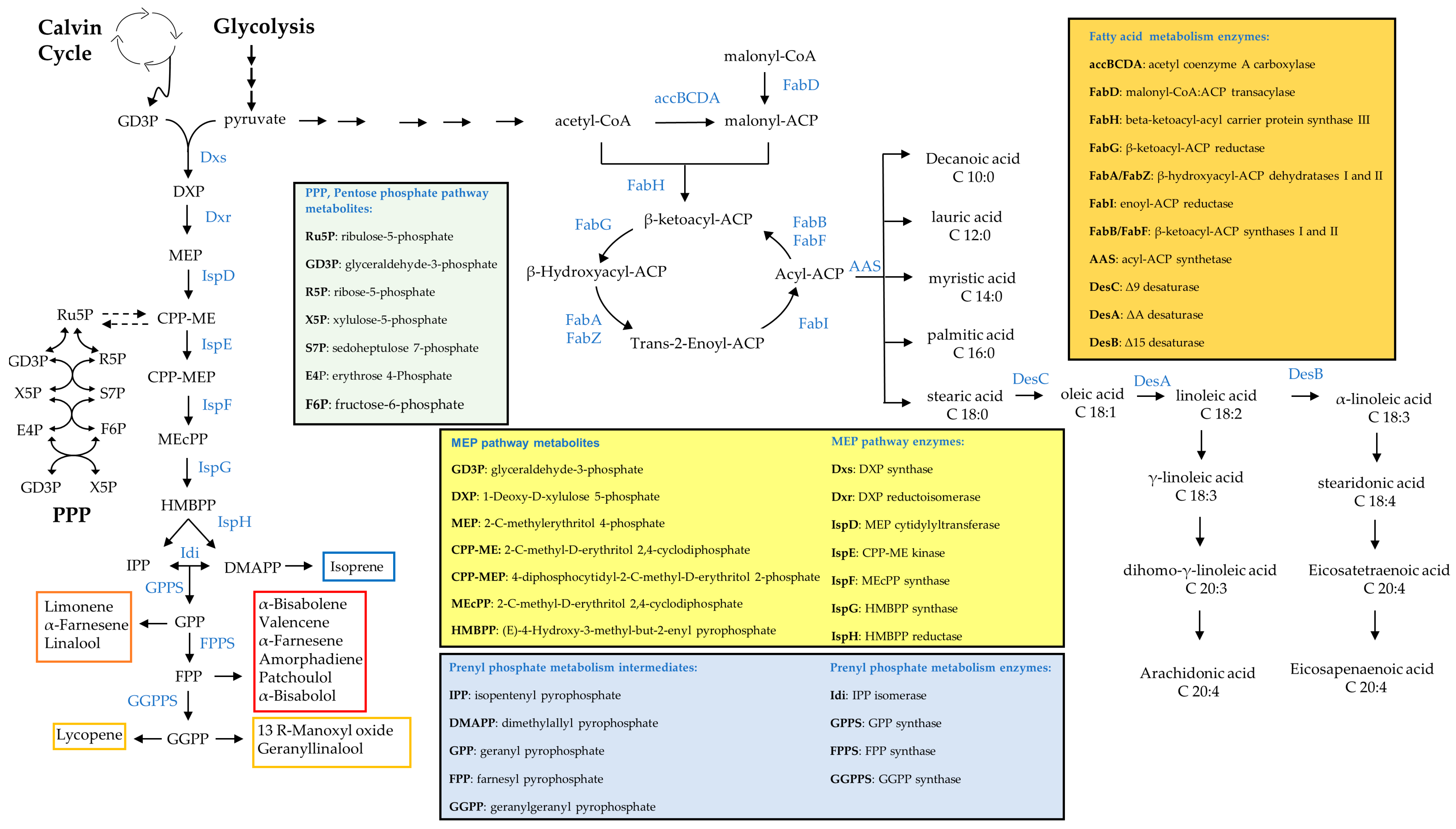 Microorganisms 11 00455 g002