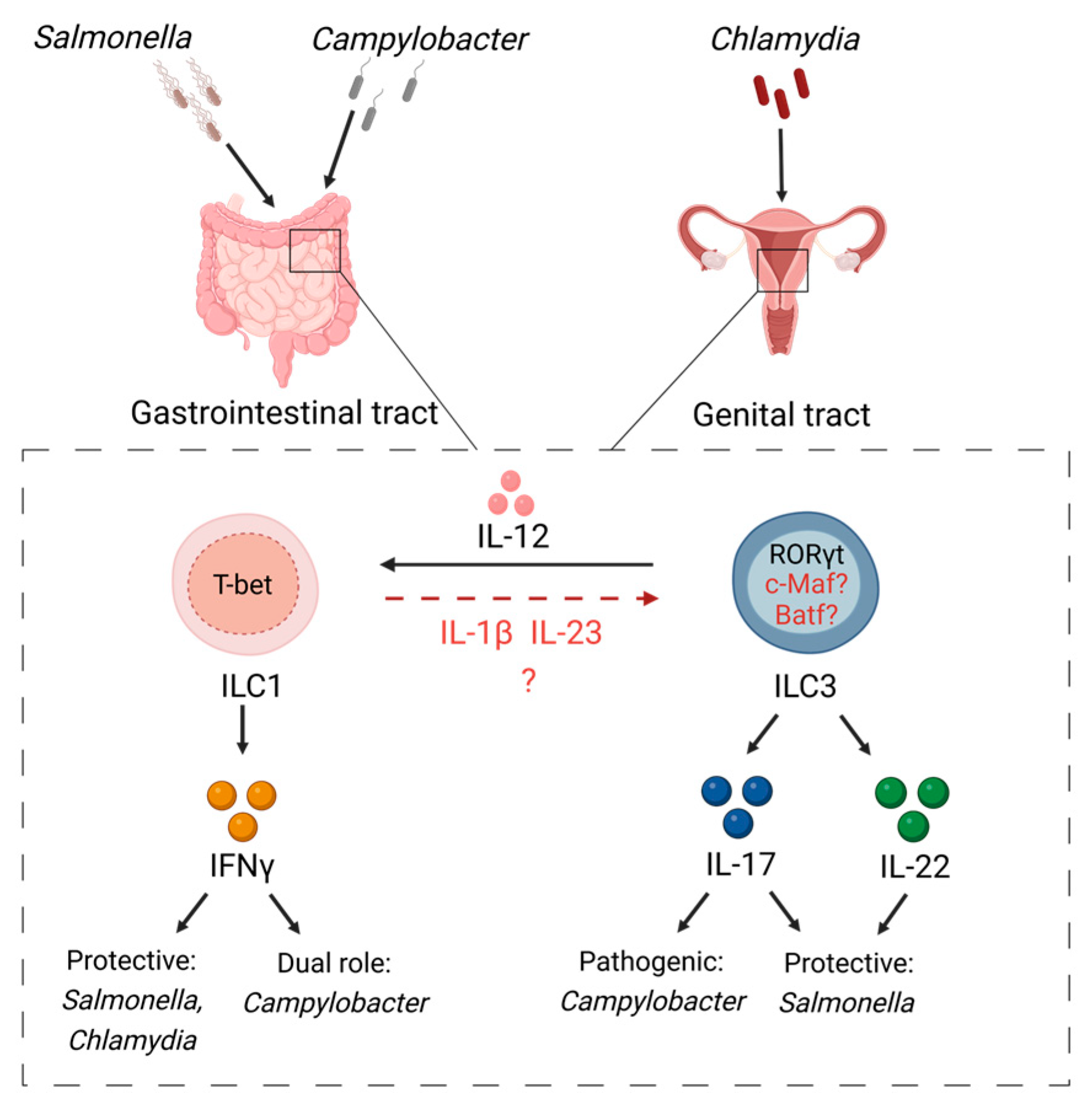 Microorganisms 11 00461 g002