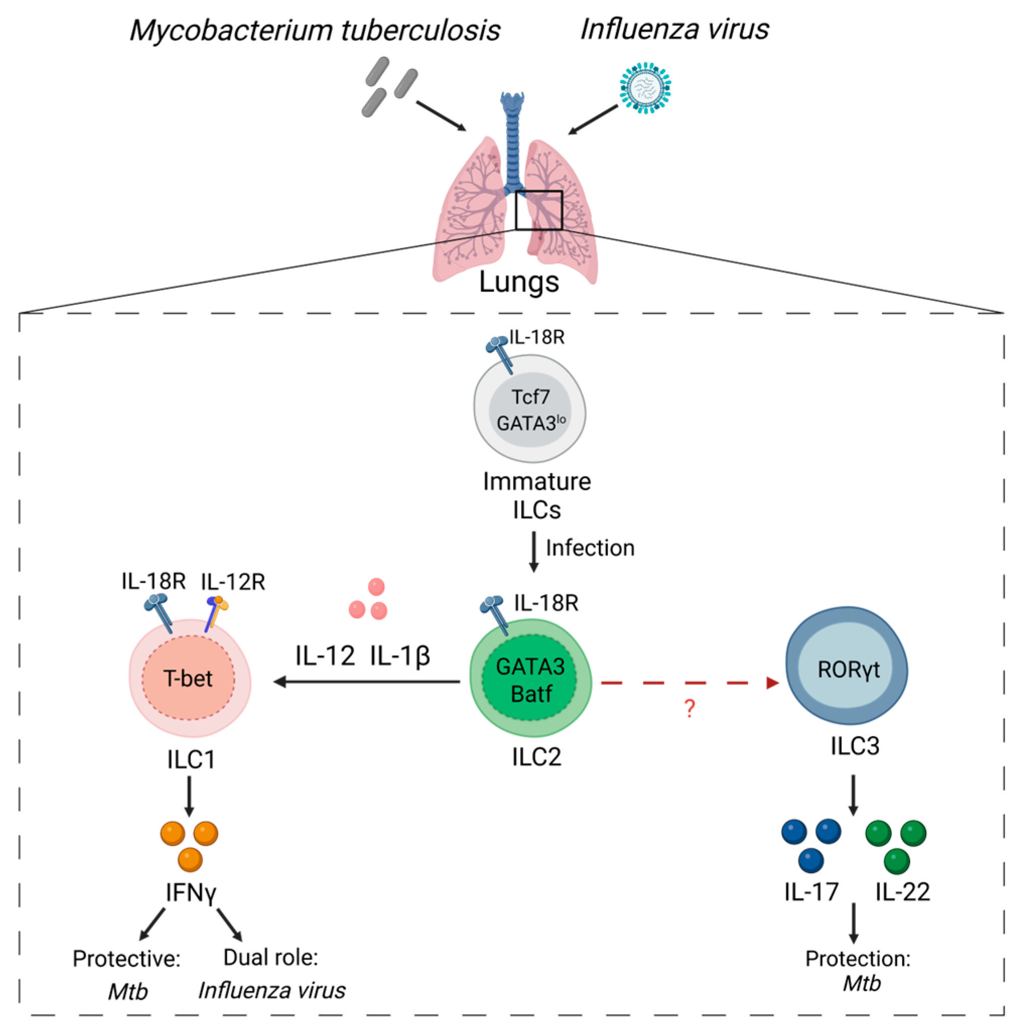 Microorganisms 11 00461 g005