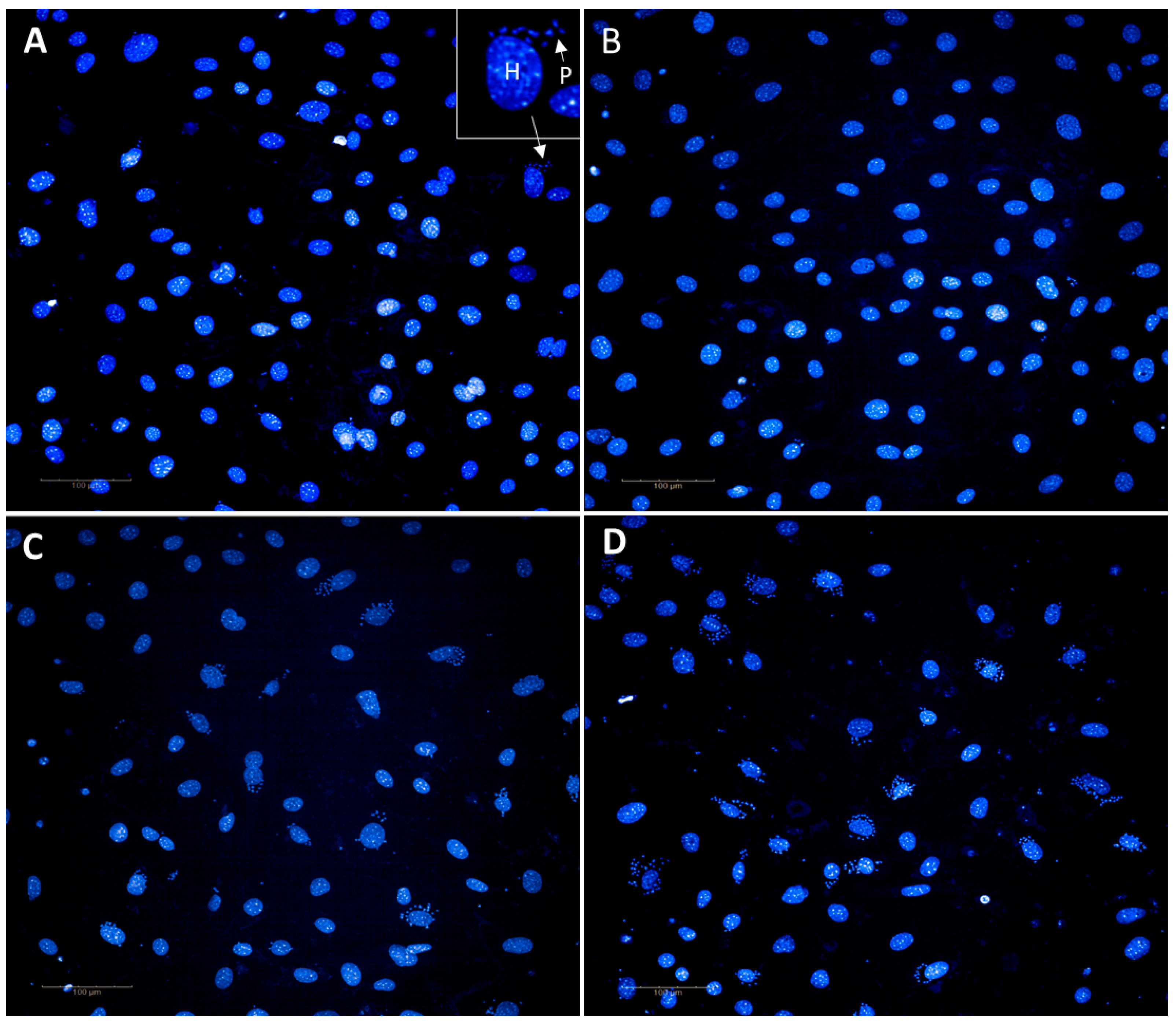 Microorganisms 11 00476 g003