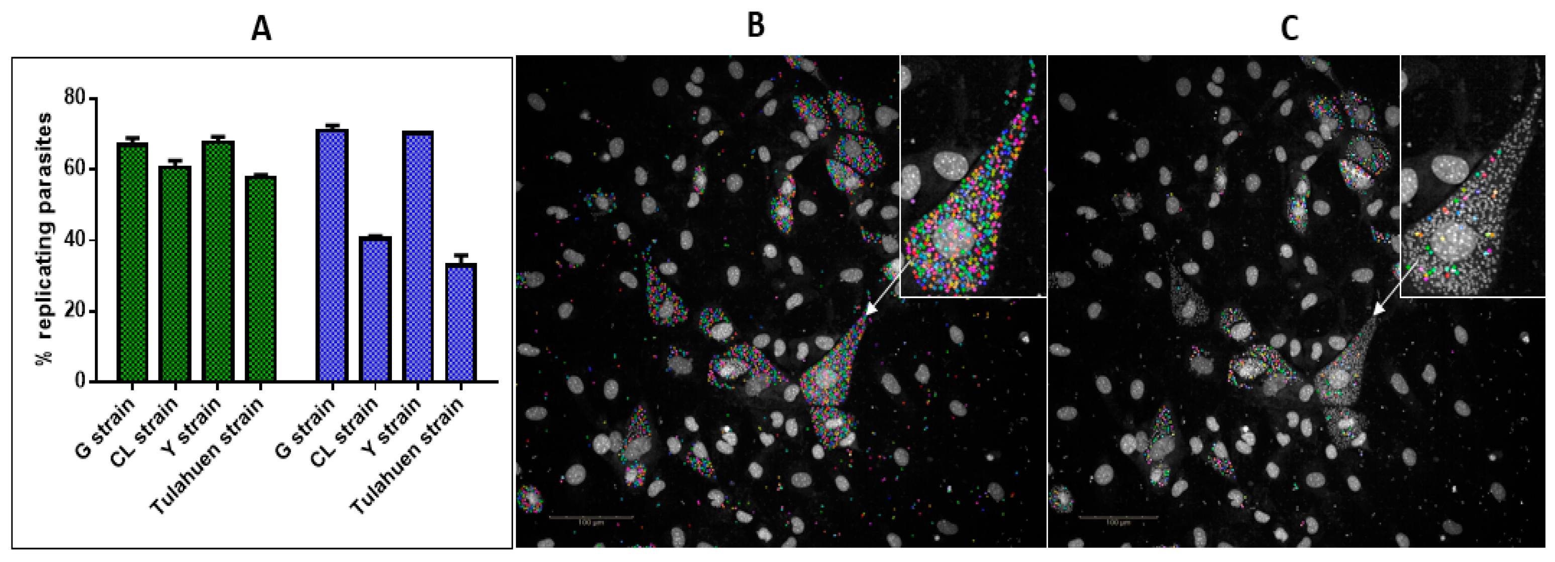 Microorganisms 11 00476 g004