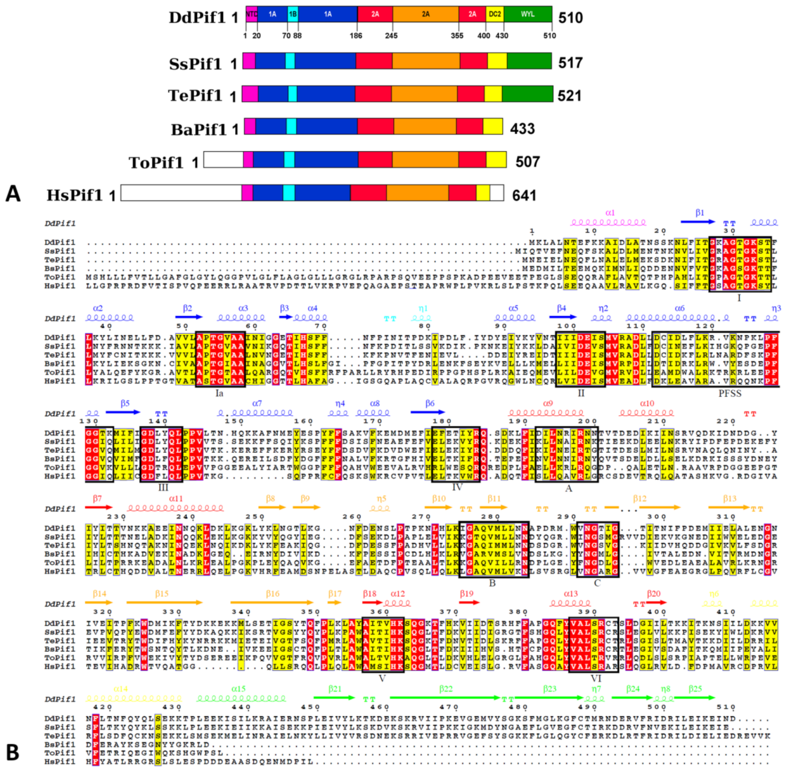 Microorganisms 11 00479 g001