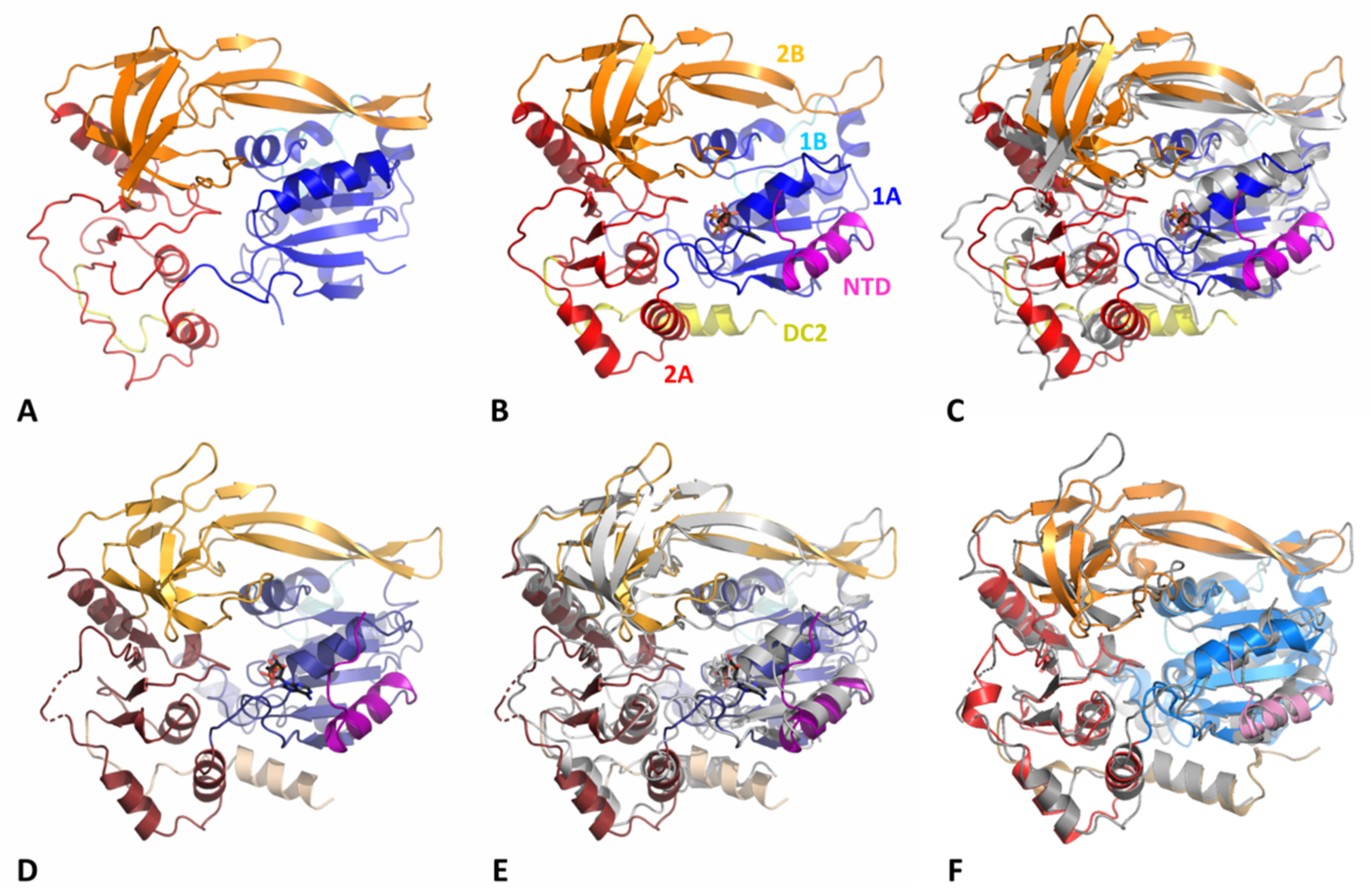 Microorganisms 11 00479 g002