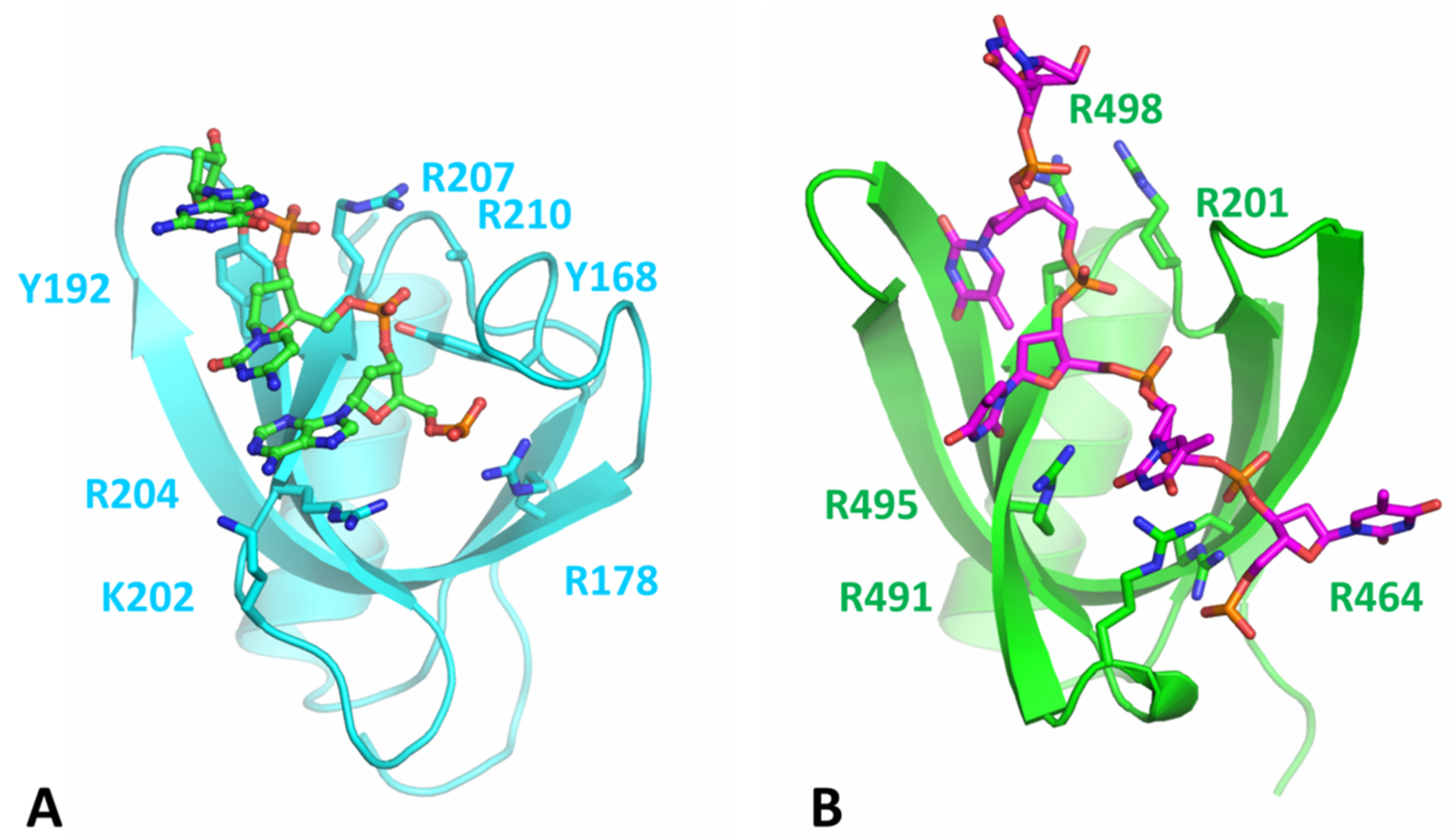 Microorganisms 11 00479 g005