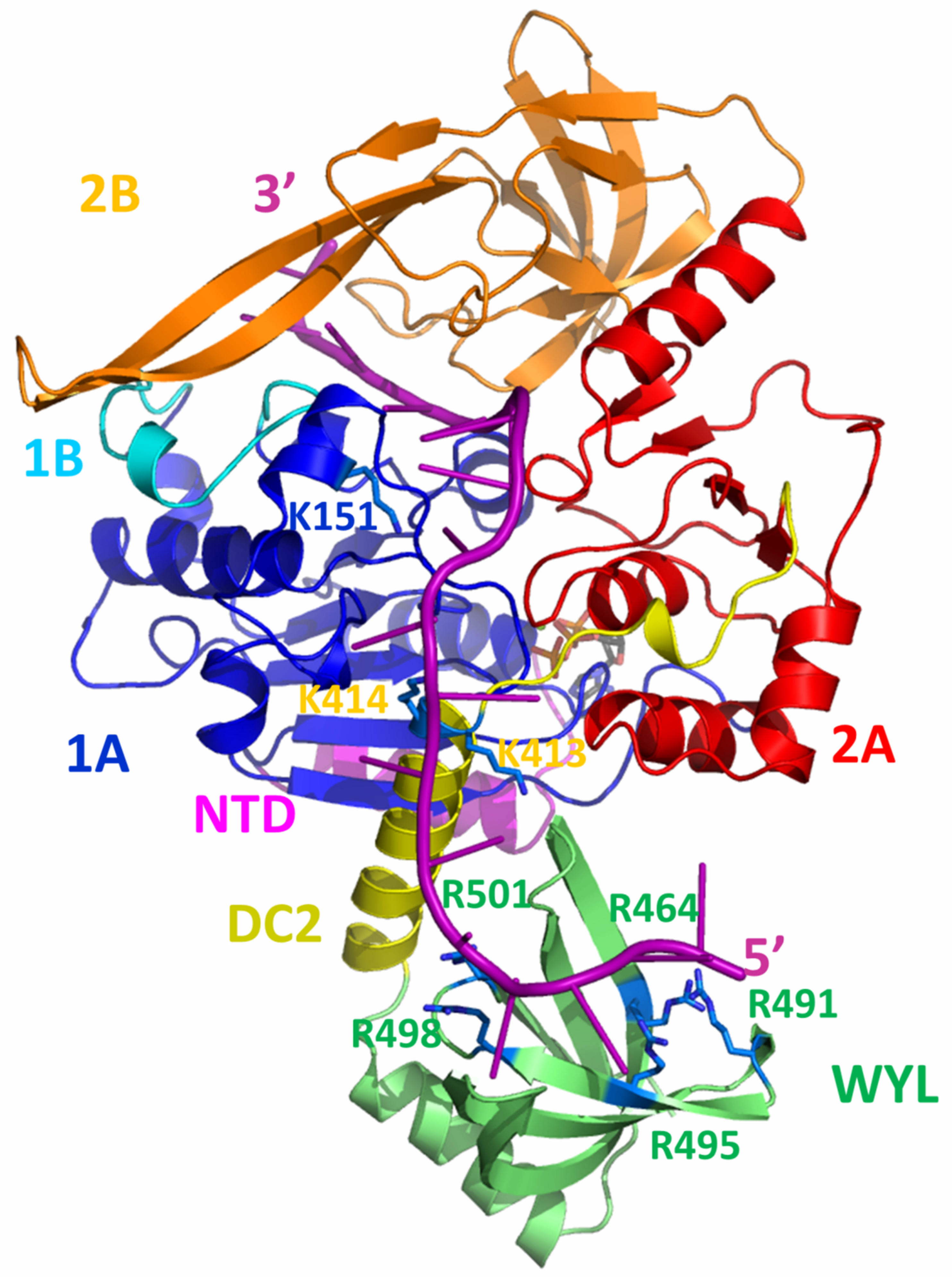Microorganisms 11 00479 g006