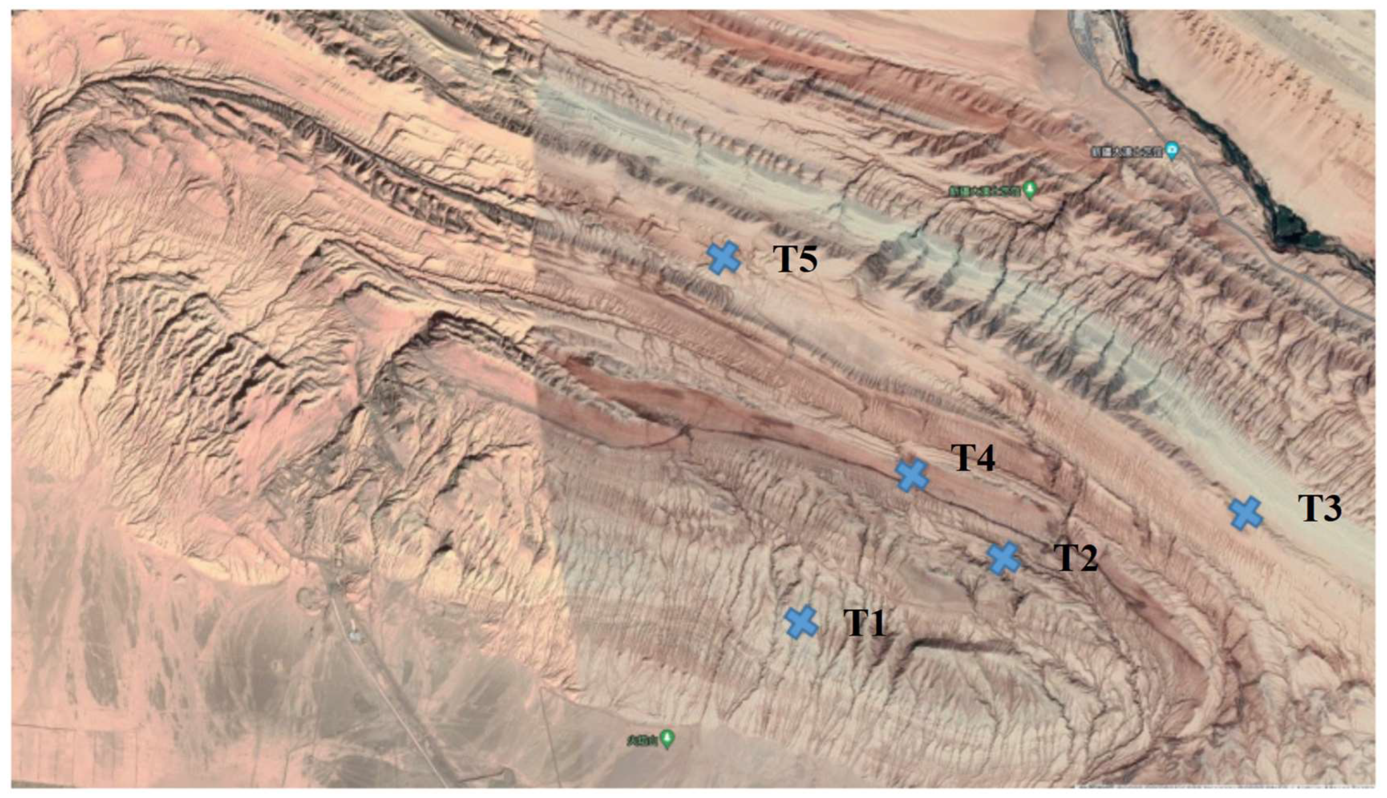 Microorganisms 11 00489 g001 Microorganisms 11 00489 g001