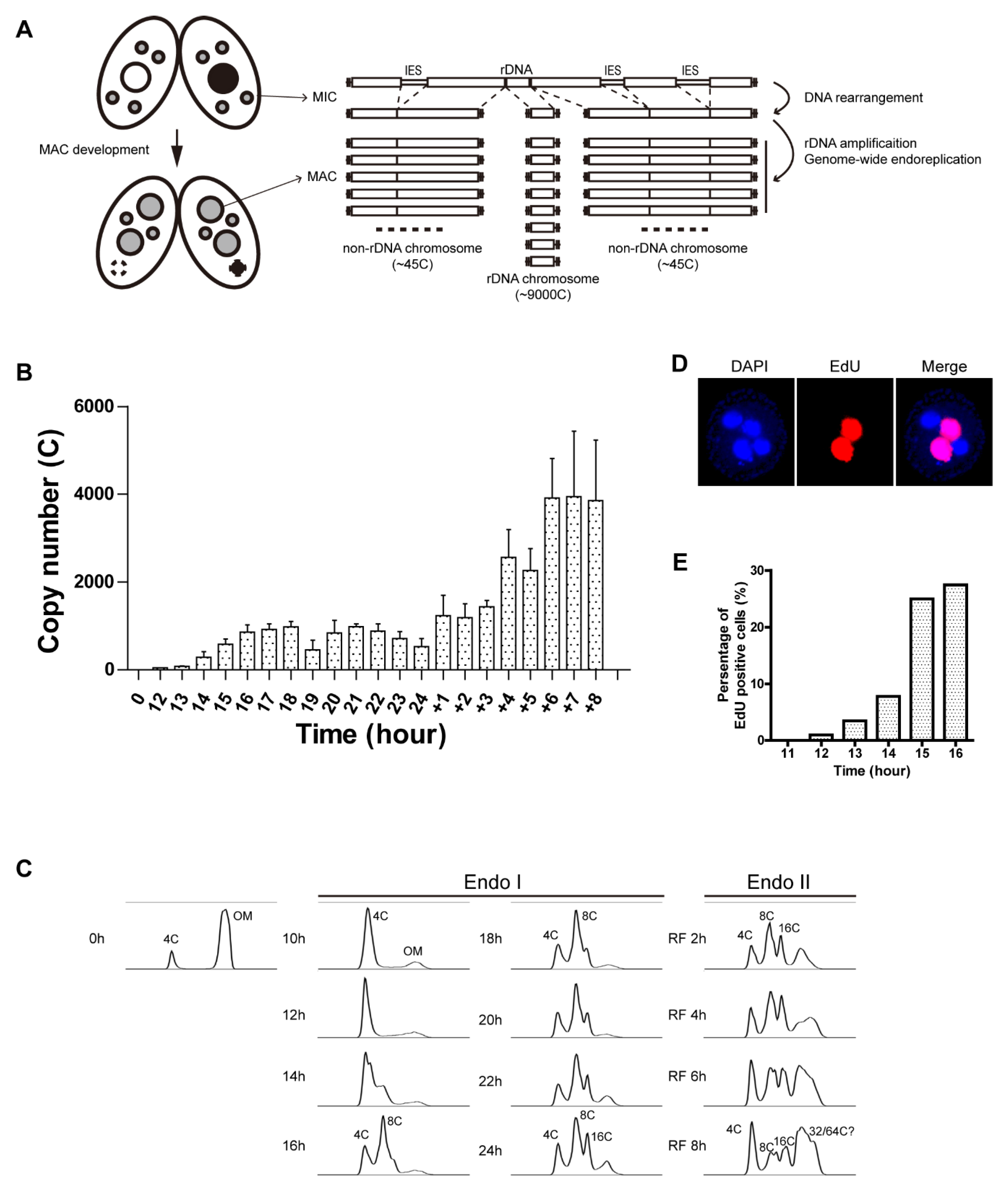 Microorganisms 11 00491 g001