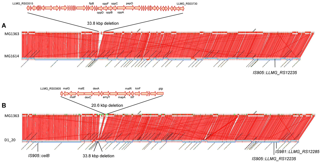 Microorganisms 11 00501 g001