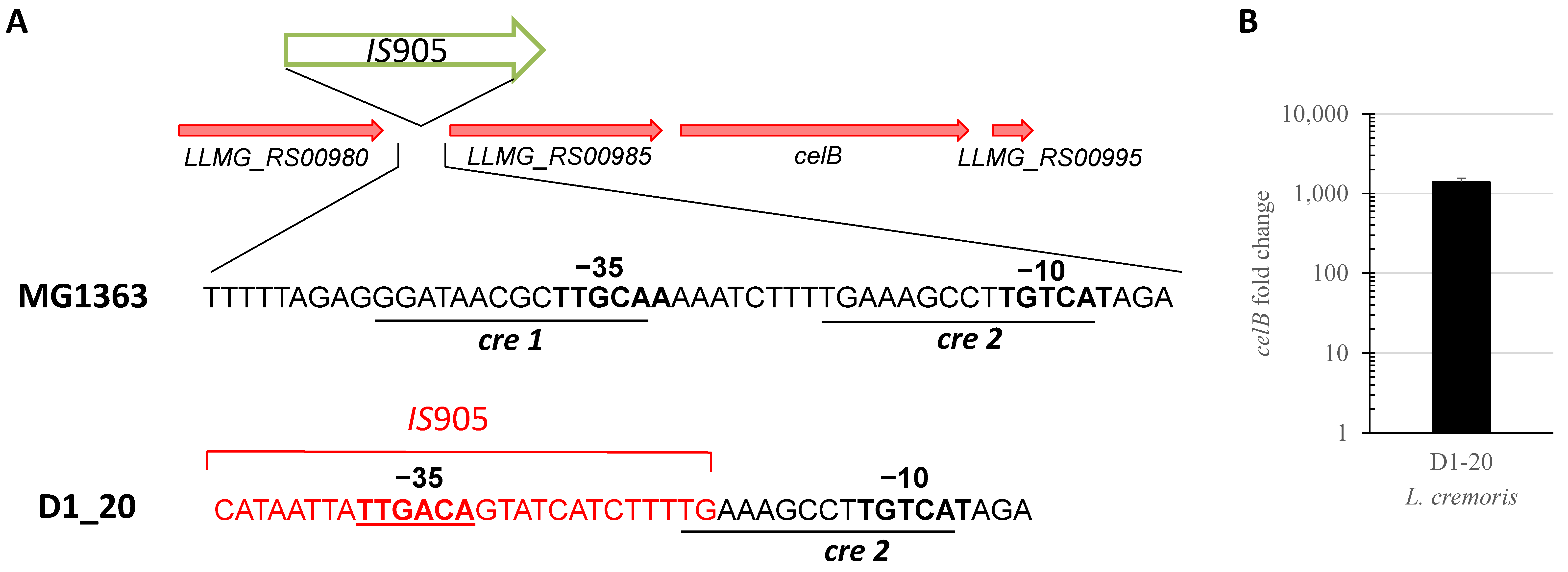 Microorganisms 11 00501 g002