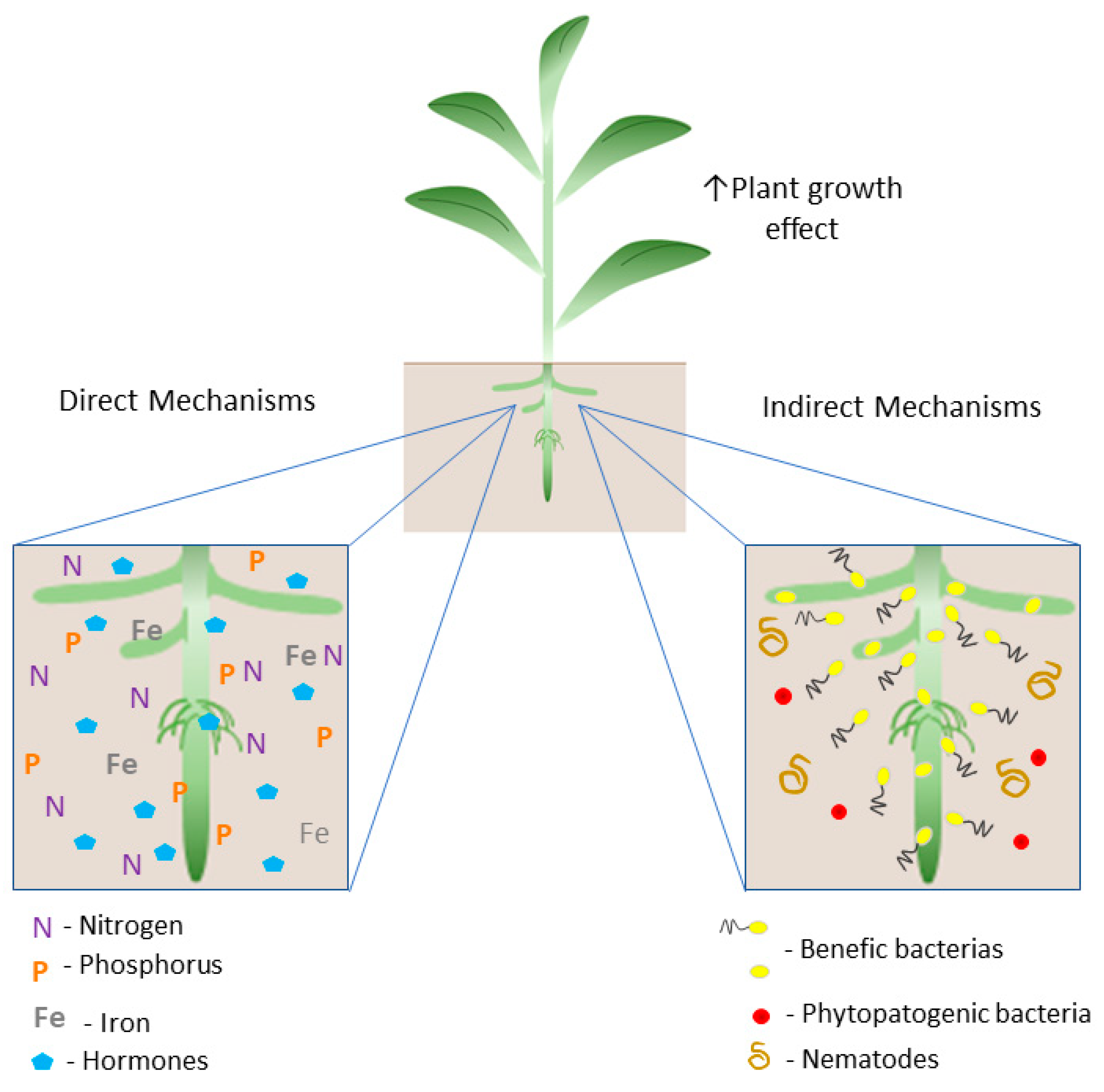 Microorganisms 11 00502 g001 Microorganisms 11 00502 g001
