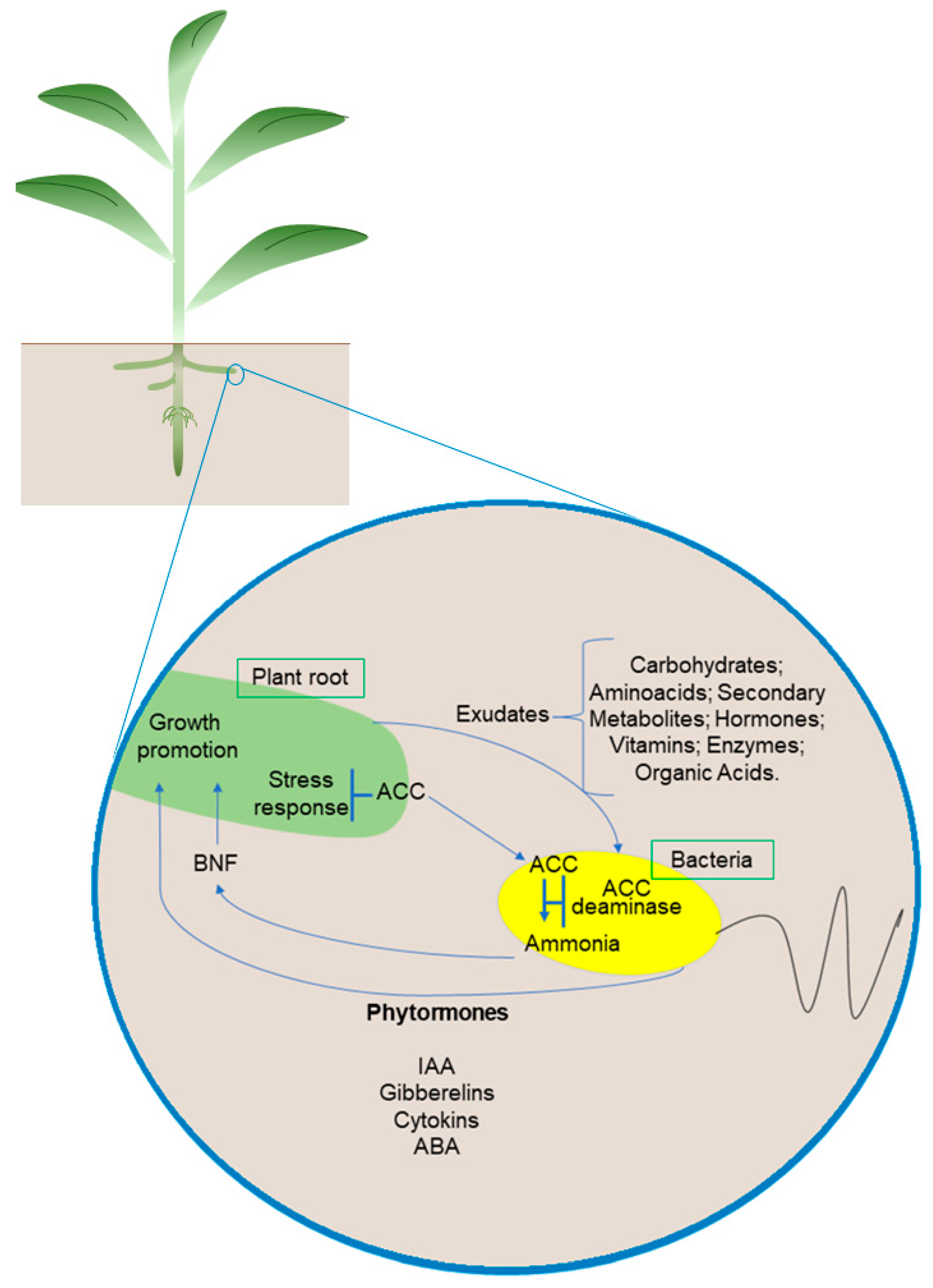 Microorganisms 11 00502 g002 Microorganisms 11 00502 g002
