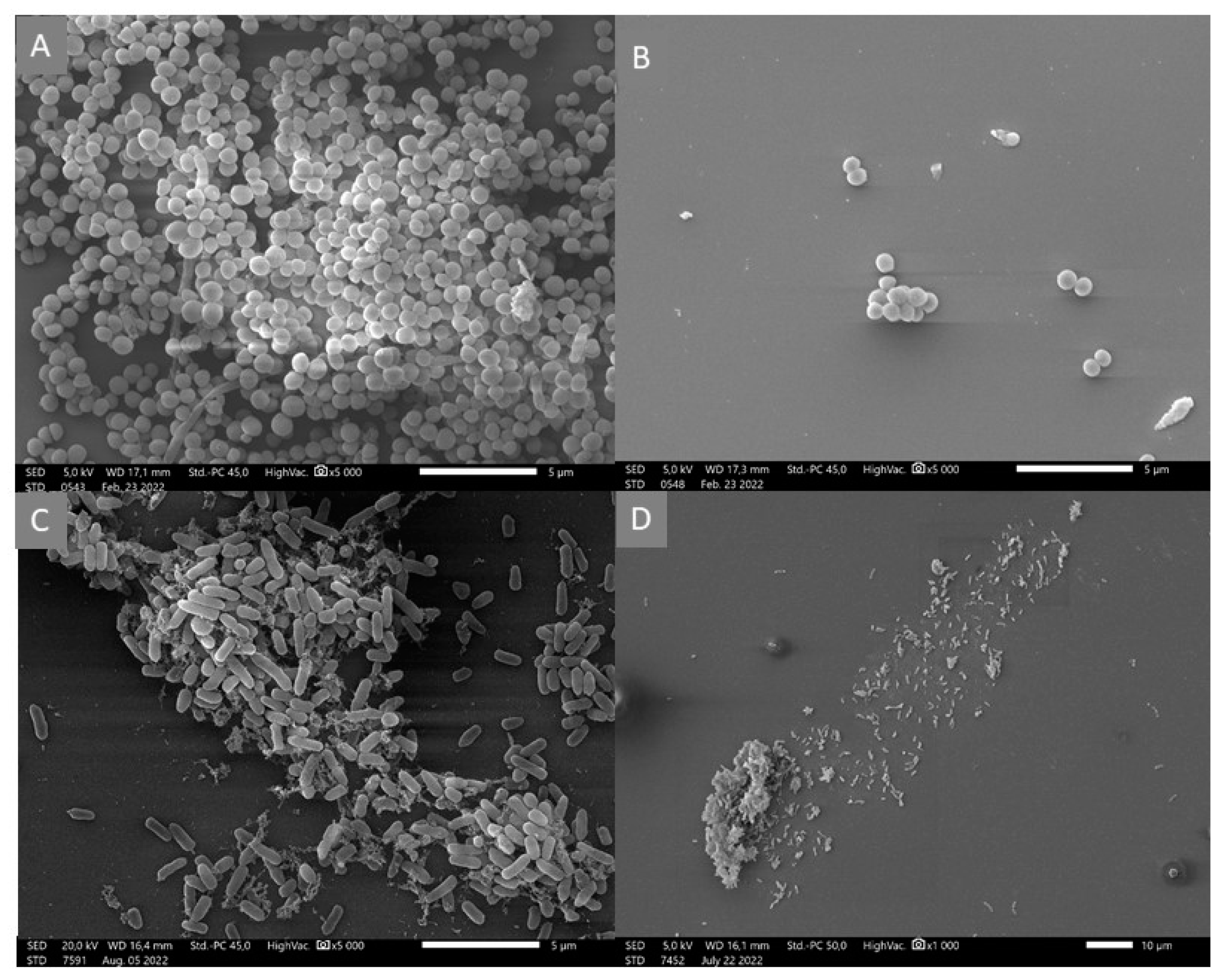 Microorganisms 11 00509 g002
