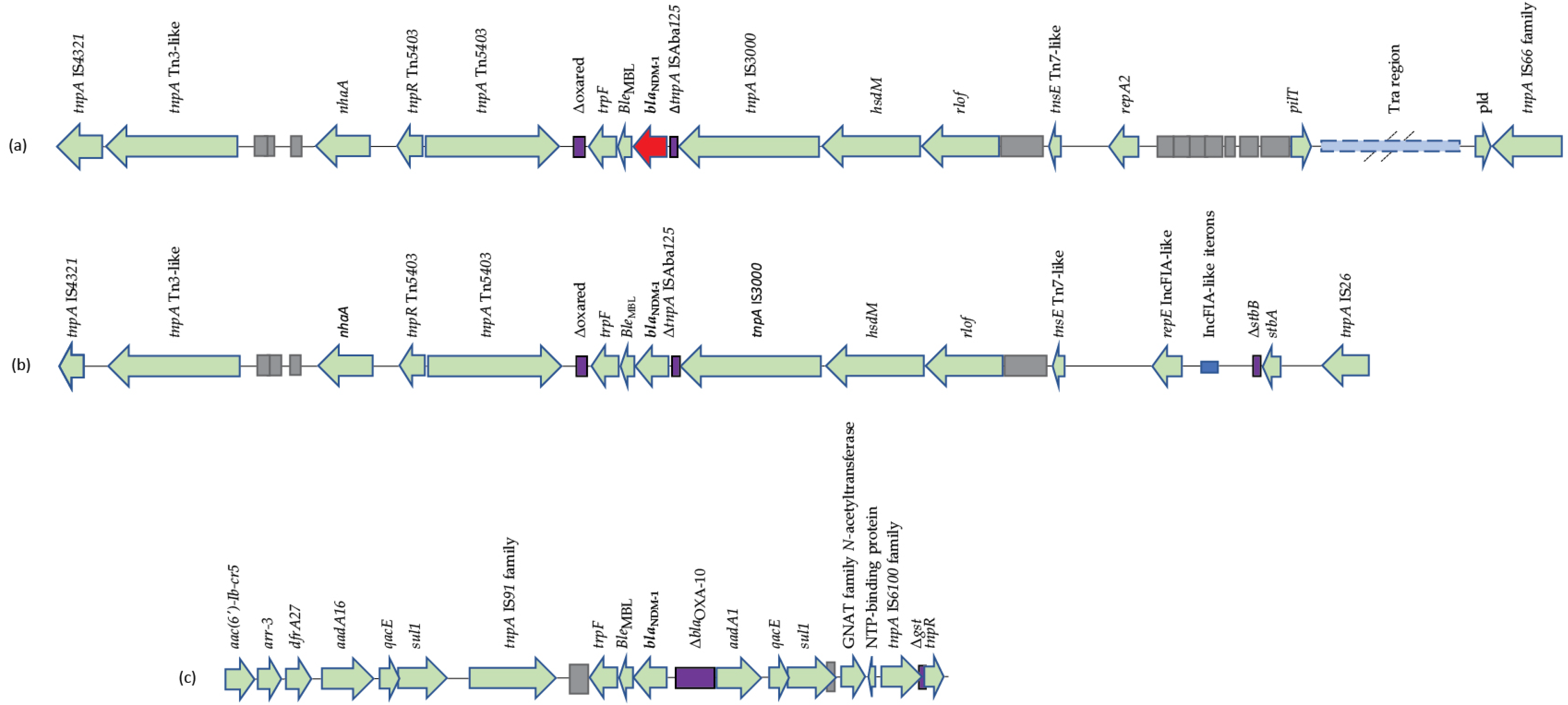 Microorganisms 11 00516 g002