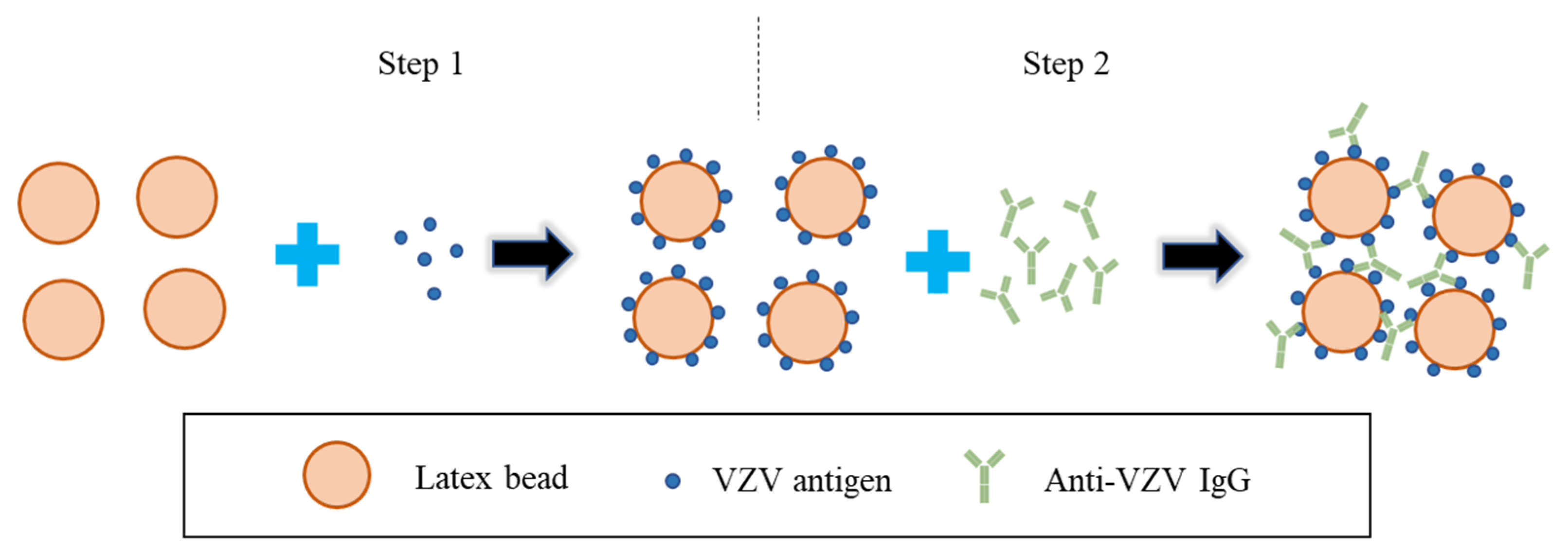 Microorganisms 11 00519 g006 Microorganisms 11 00519 g006