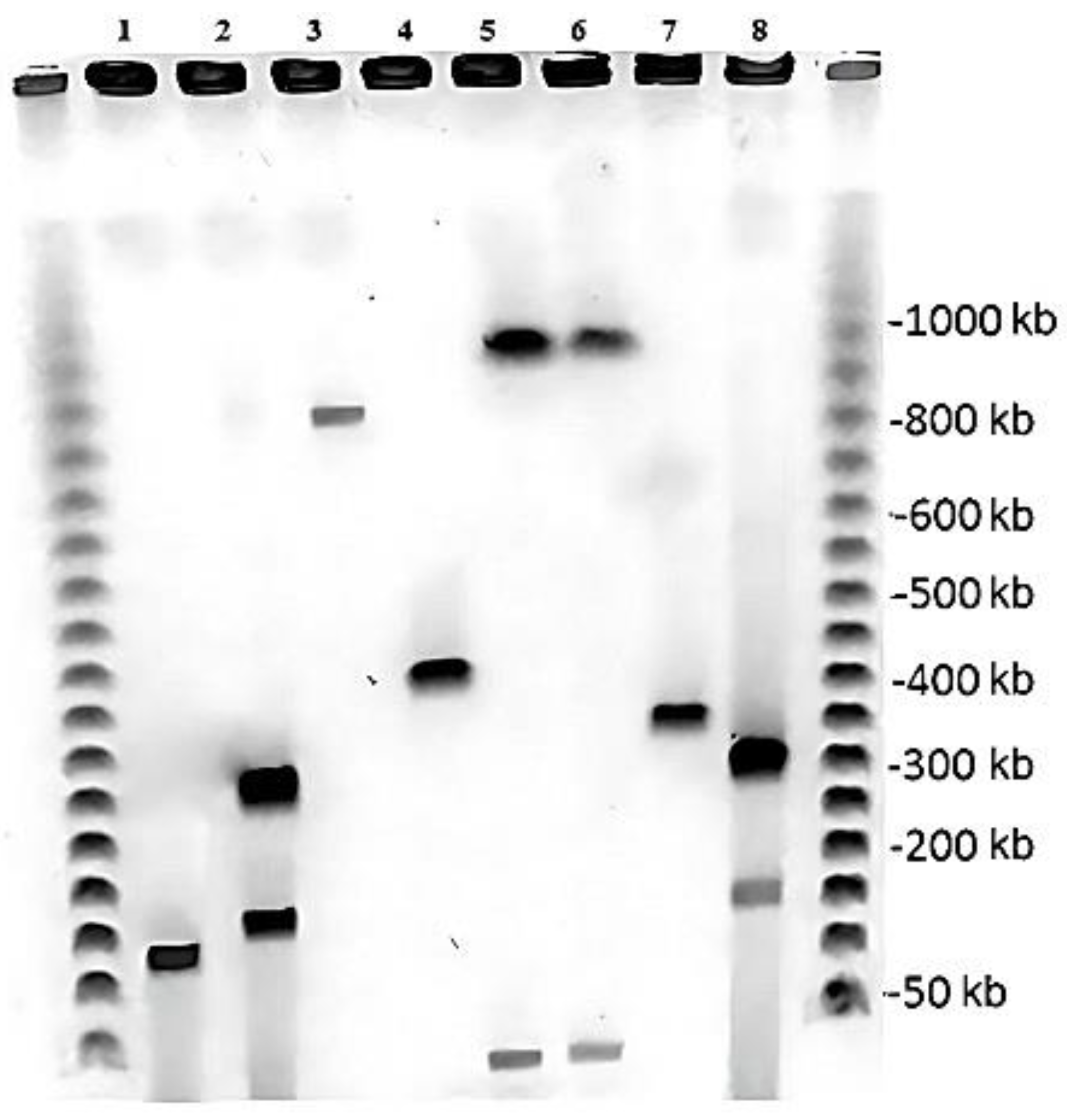 Microorganisms 11 00522 g001