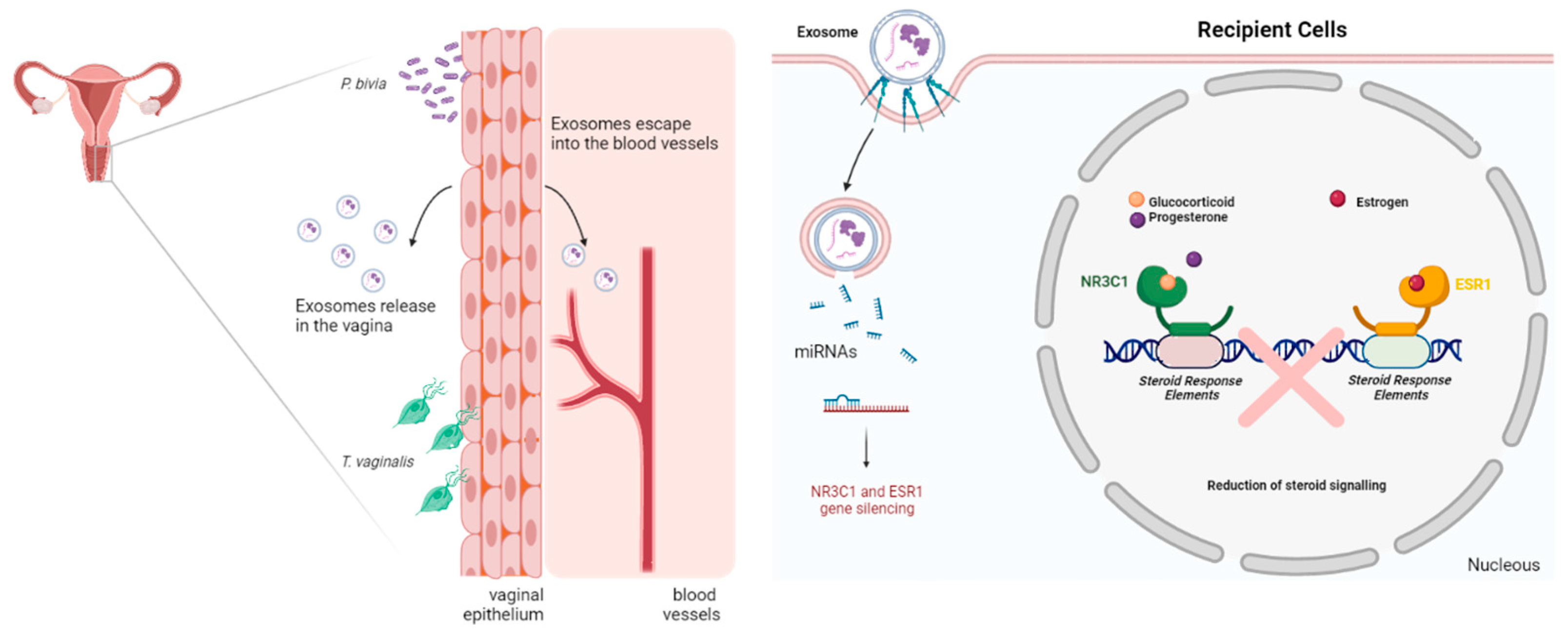 Microorganisms 11 00551 g005