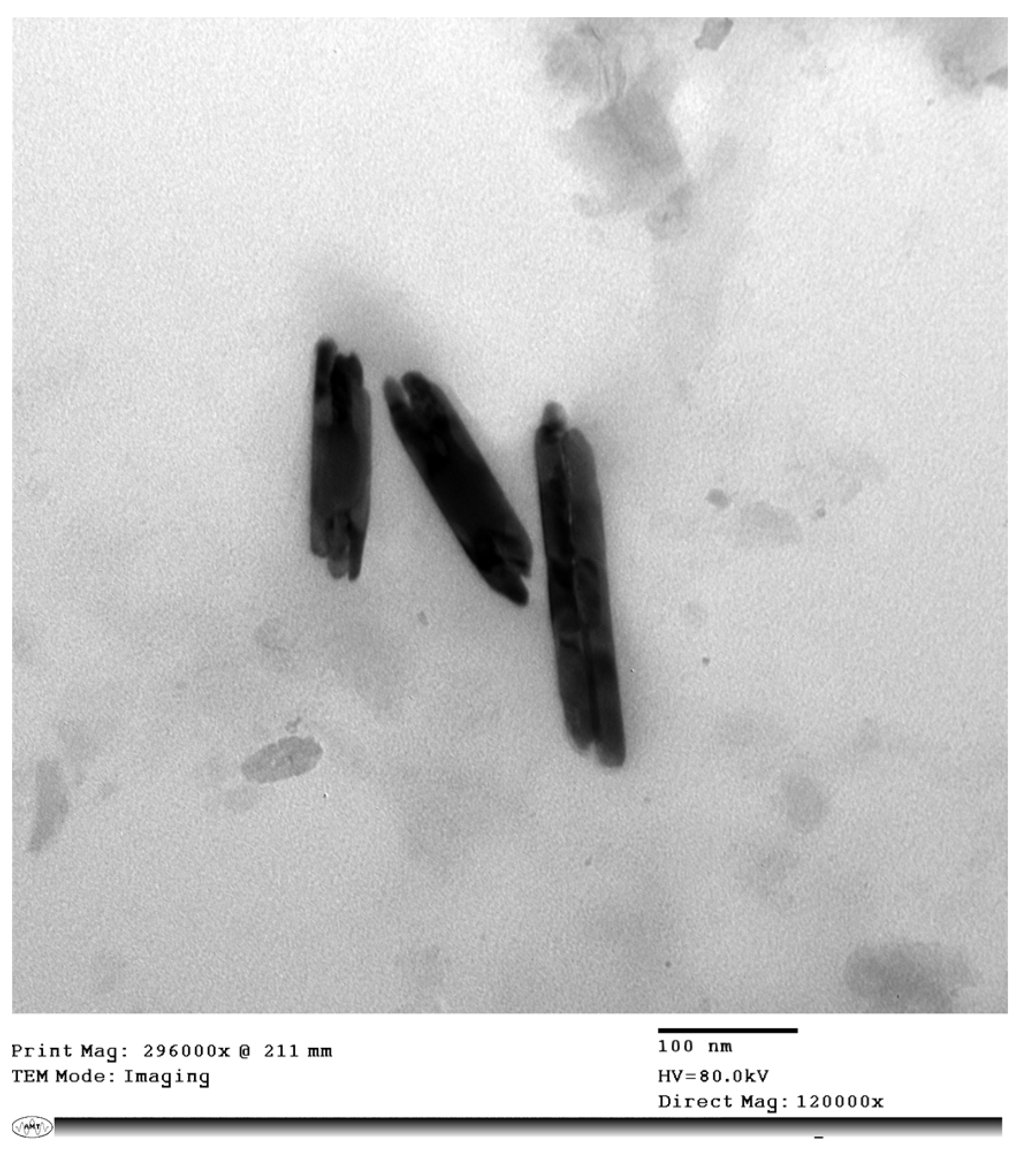 Microorganisms 11 00558 g003 Microorganisms 11 00558 g003