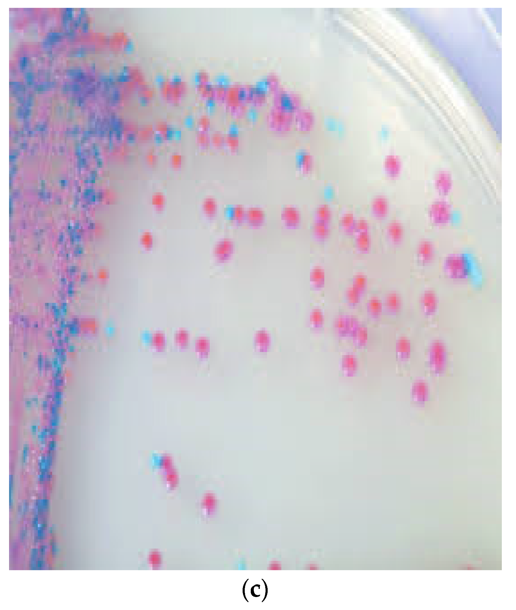 Microorganisms 11 00581 g001b