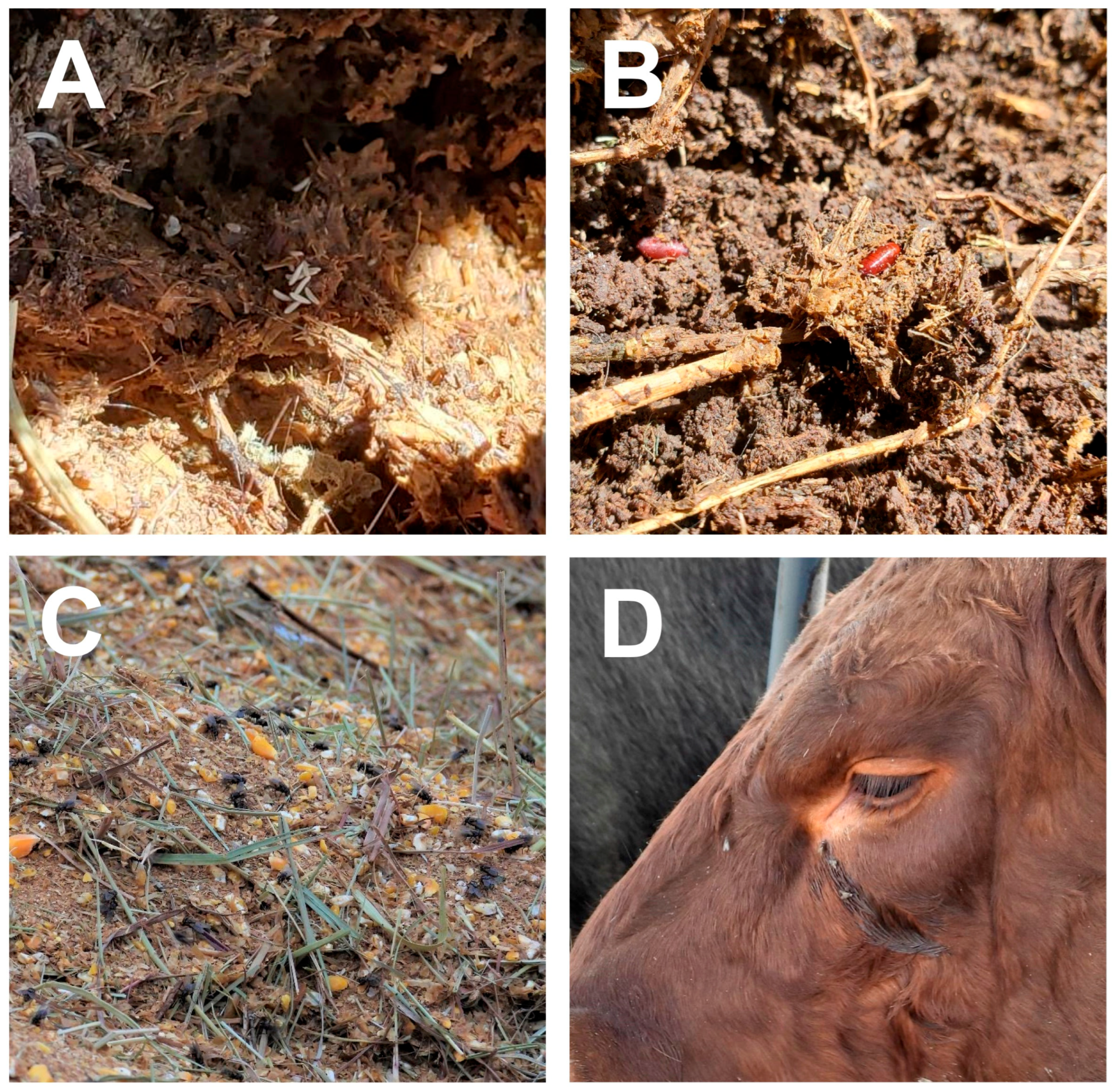 Microorganisms 11 00583 g001 Microorganisms 11 00583 g001