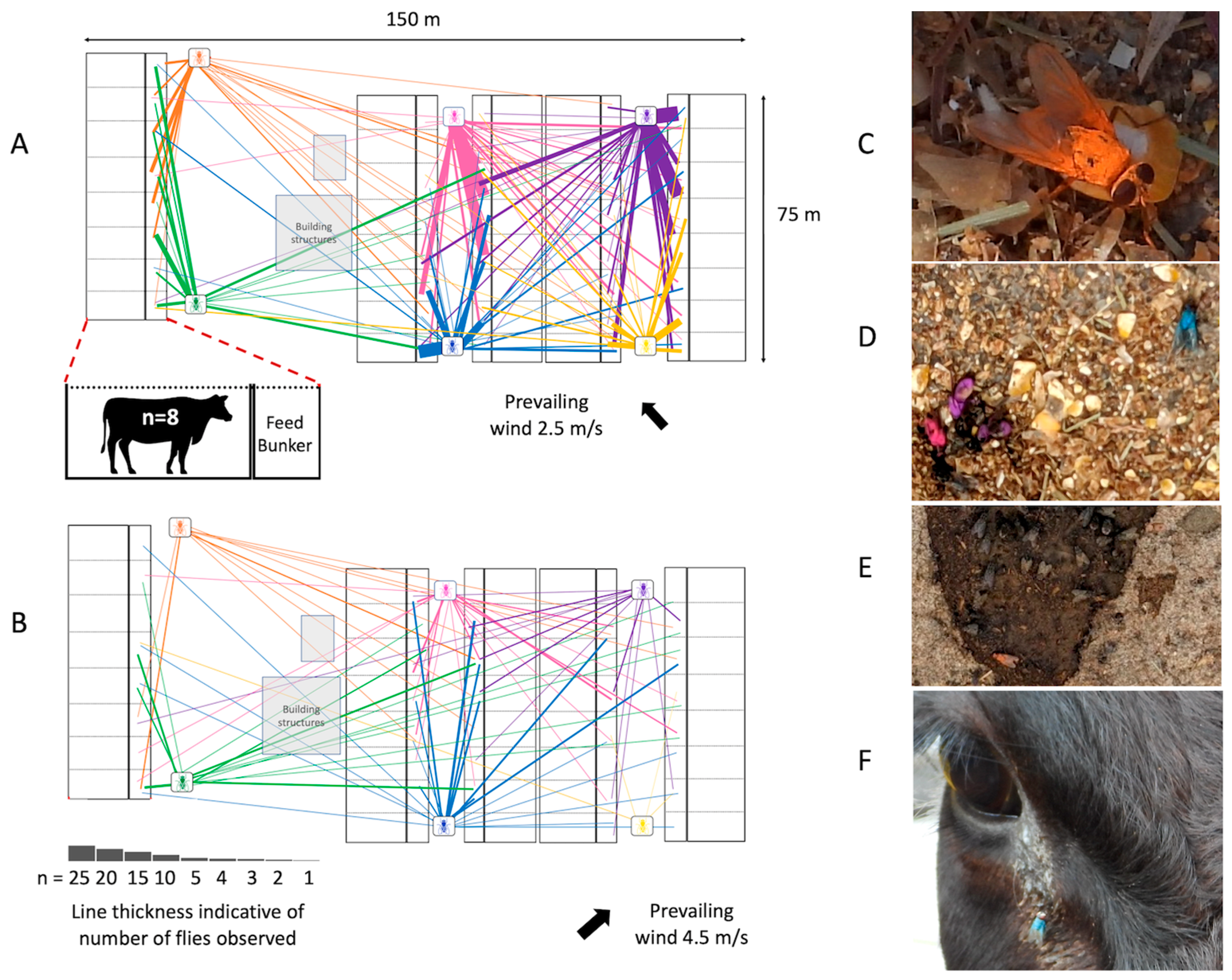 Microorganisms 11 00583 g002 Microorganisms 11 00583 g002