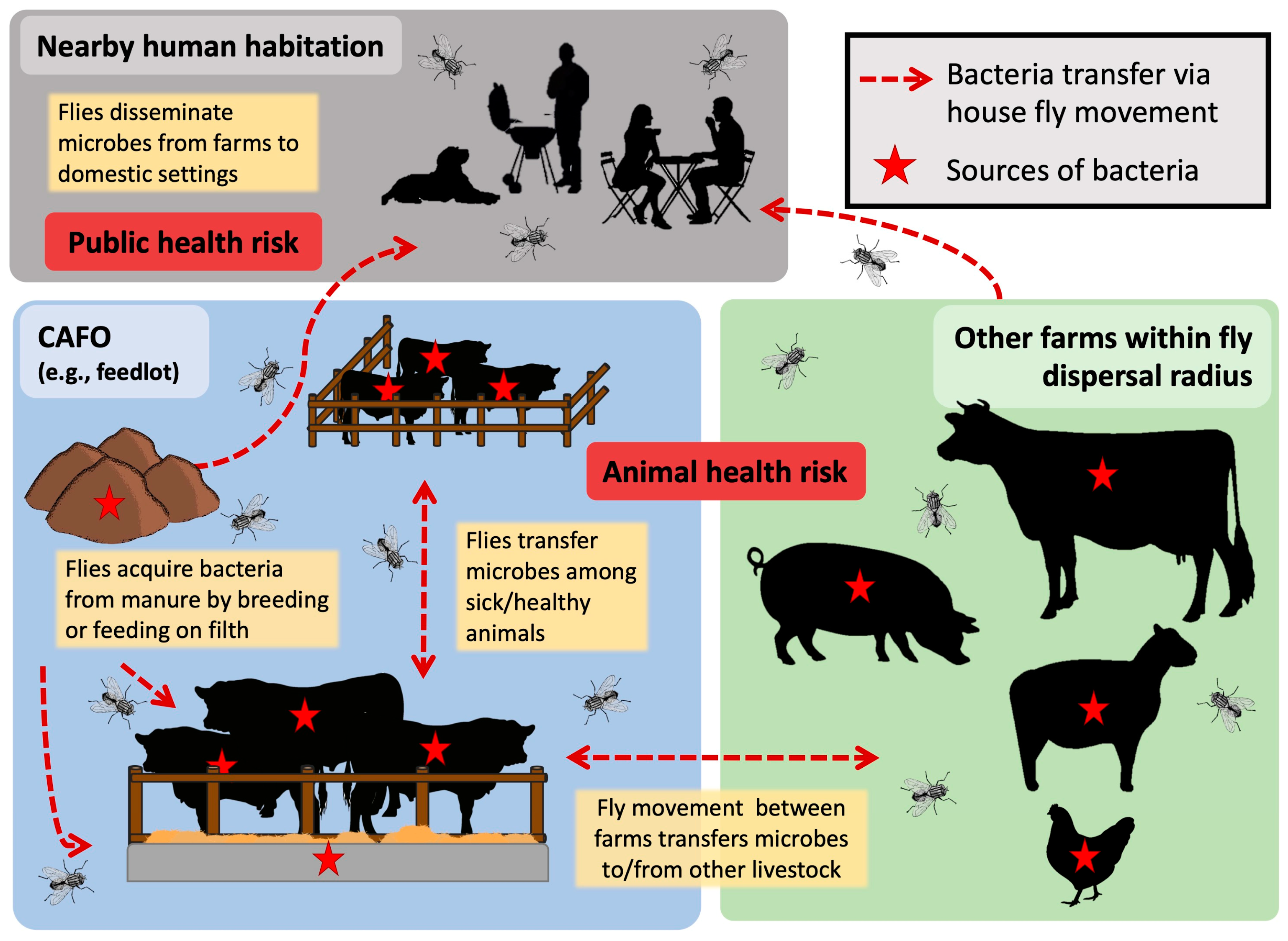 Microorganisms 11 00583 g003 Microorganisms 11 00583 g003