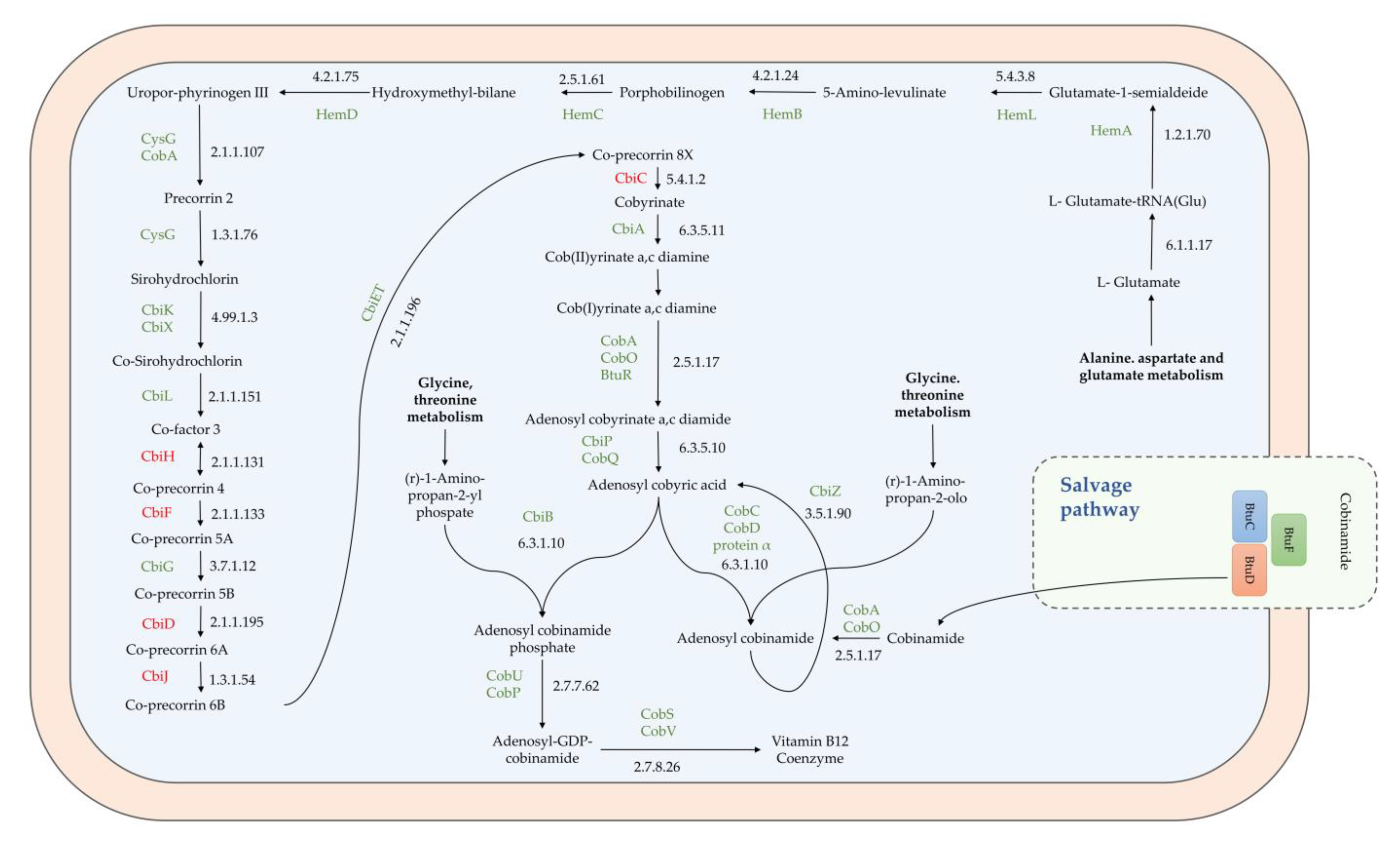 Microorganisms 11 00587 g004 Microorganisms 11 00587 g004