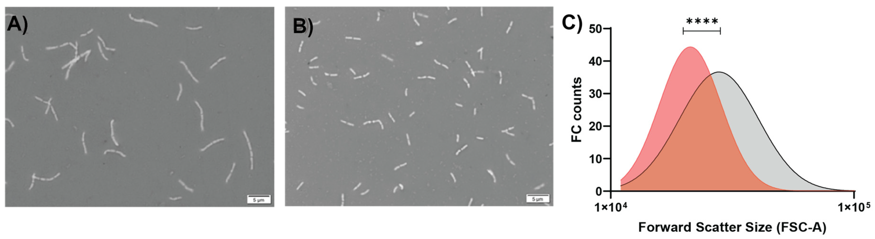 Microorganisms 11 00588 g002