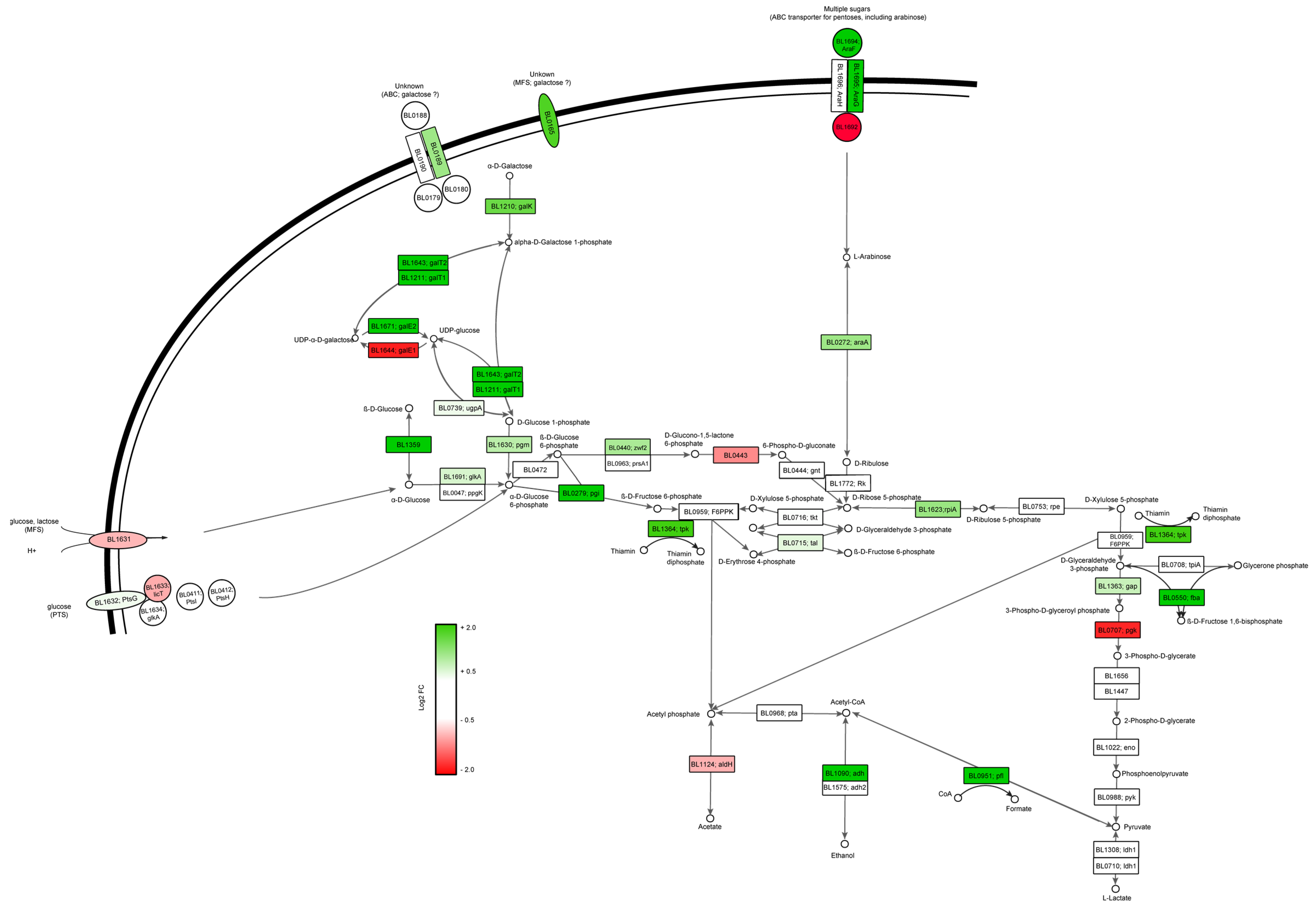 Microorganisms 11 00588 g003