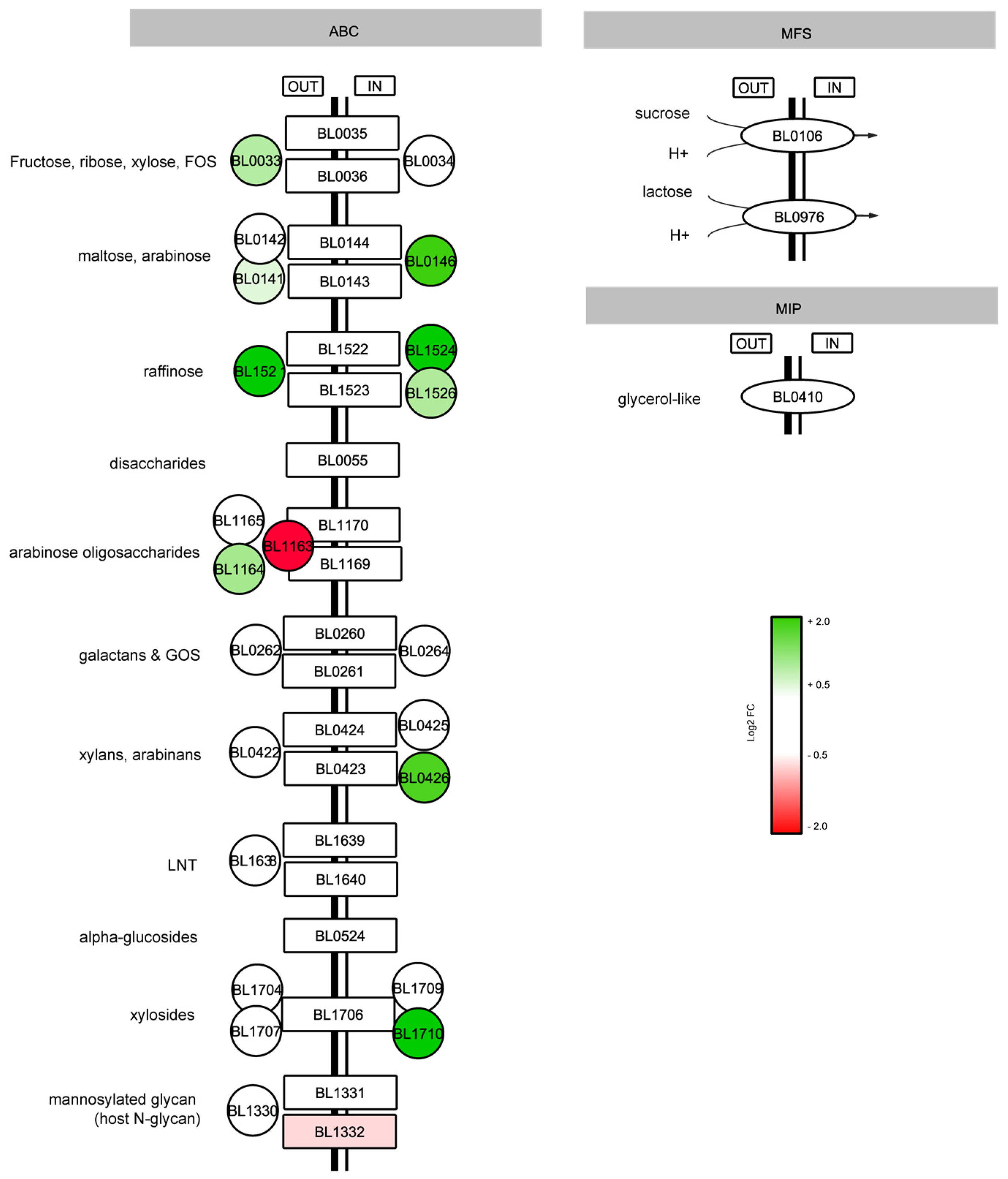 Microorganisms 11 00588 g005